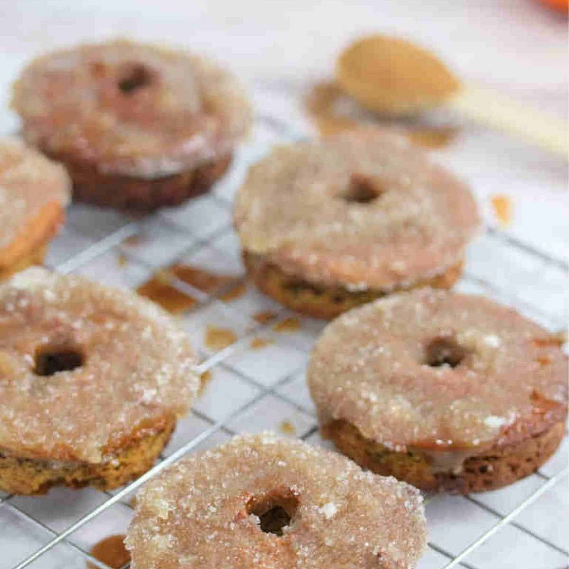 Pumpkin Pie Protein Donuts