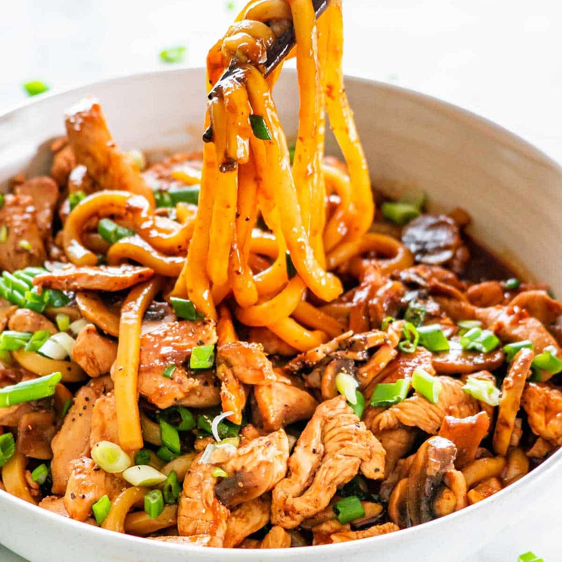 Hoisin Chicken Udon Noodles