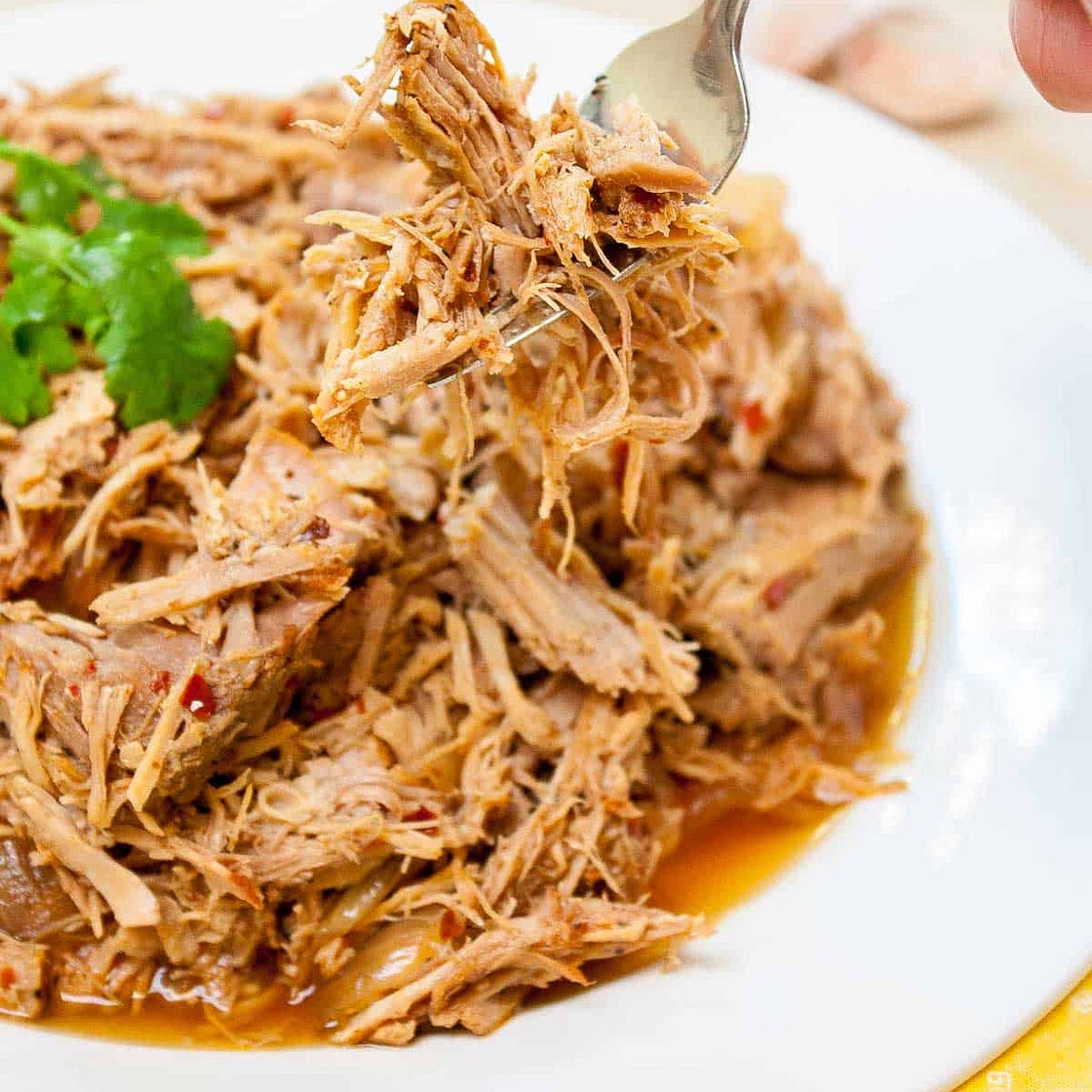 Slow Cooker Carolina Pulled Pork