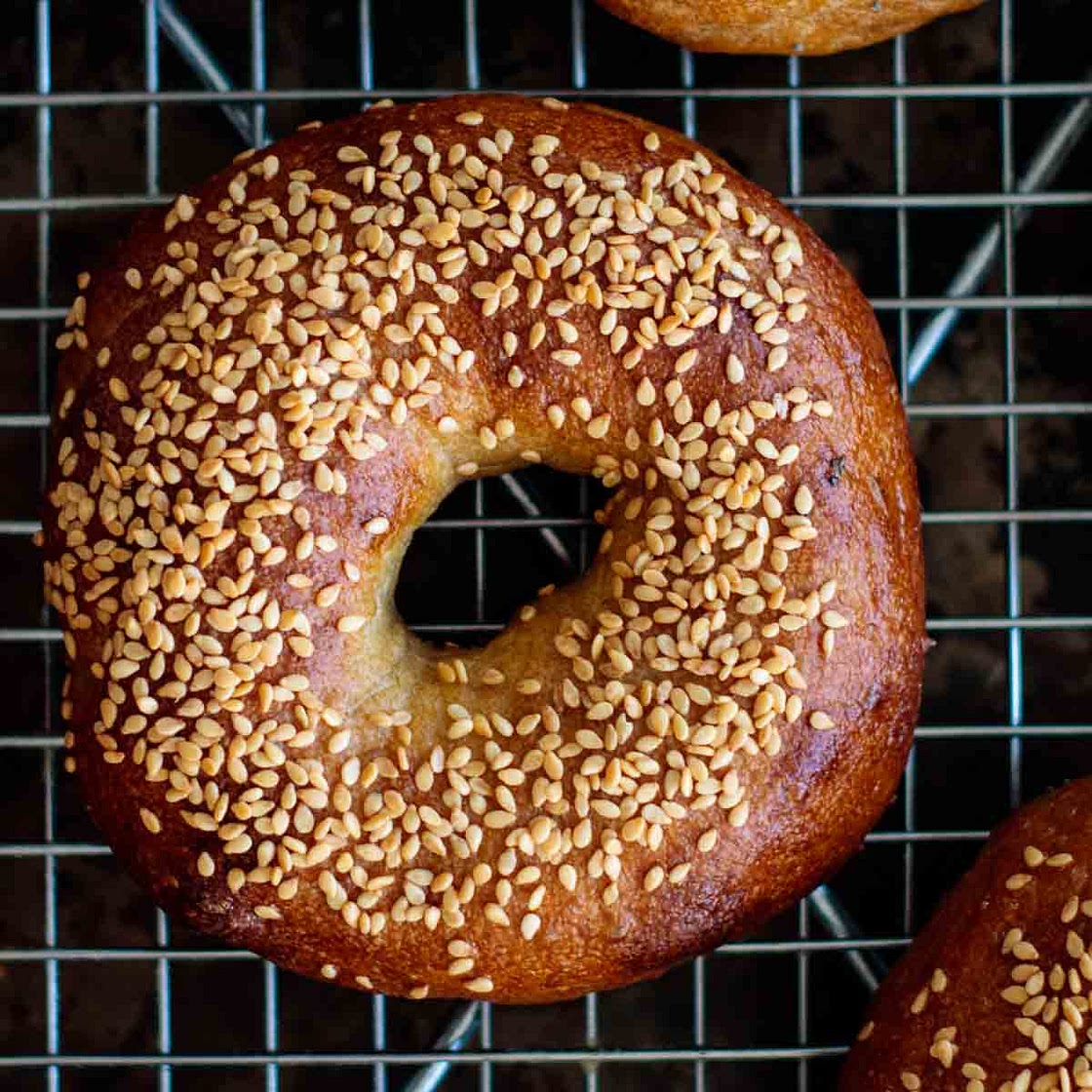 Sourdough Bagels