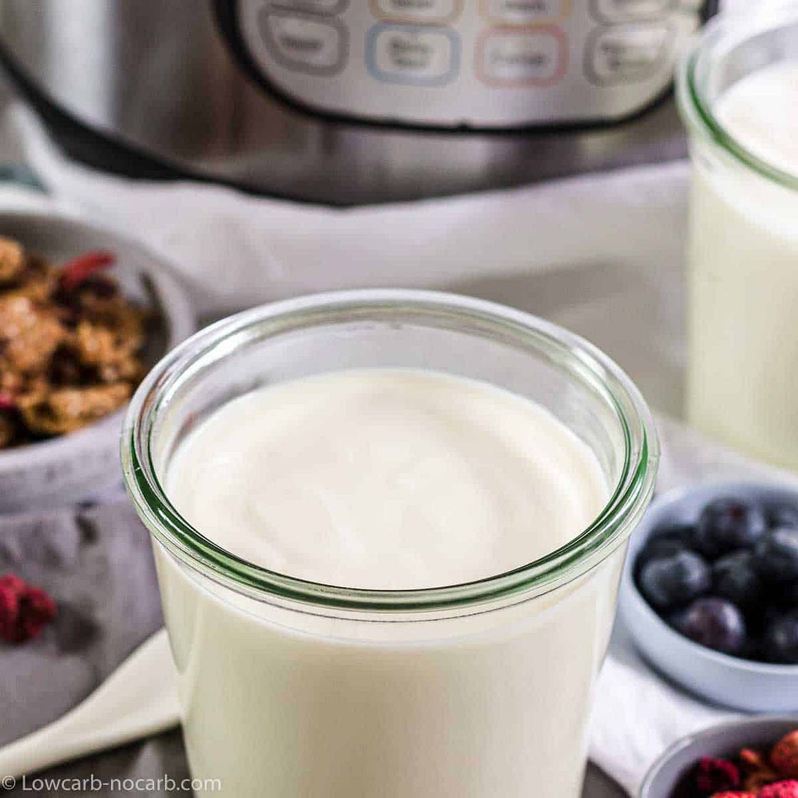 Instant Pot Keto Cold Start Greek Yogurt