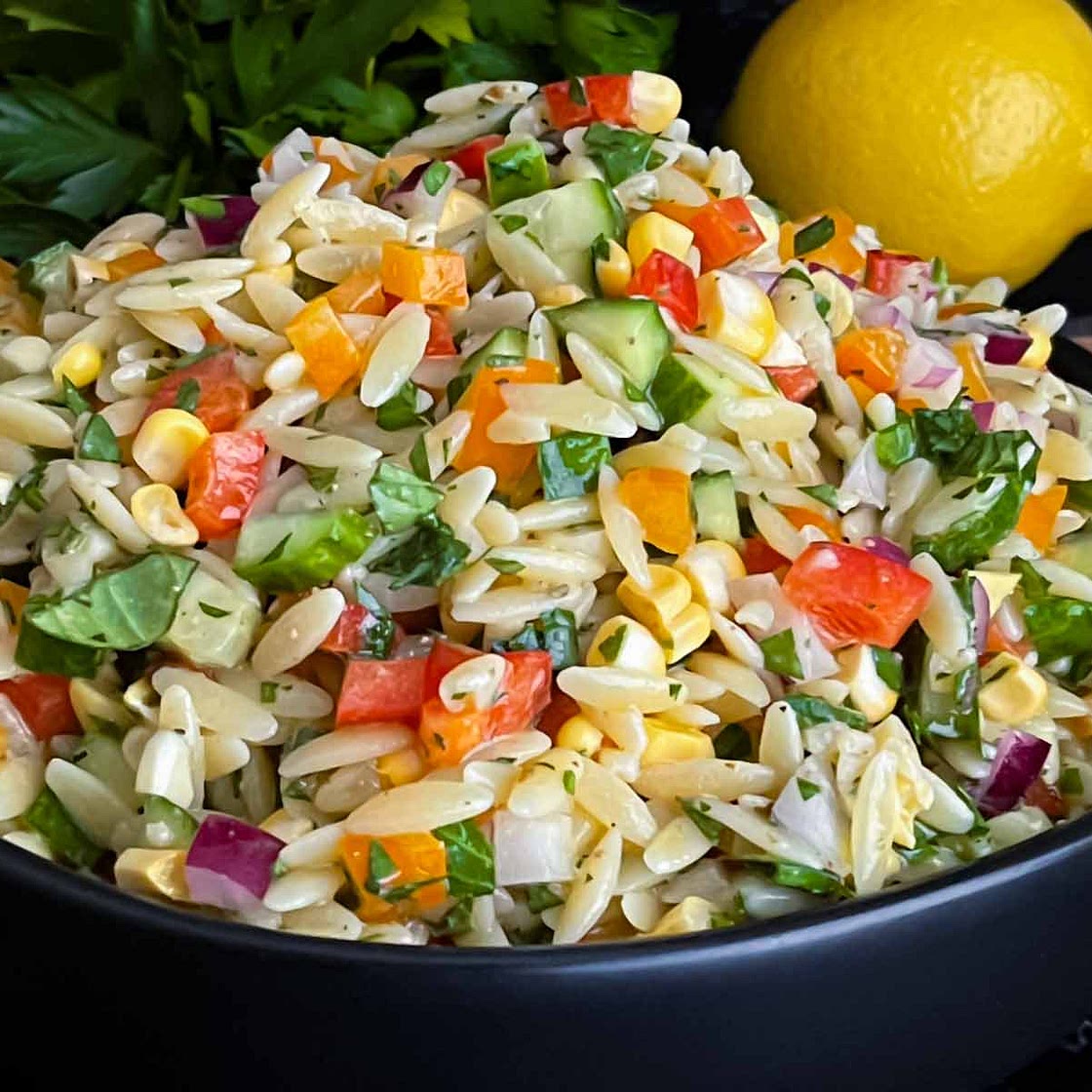 Orzo Pasta Salad Recipe