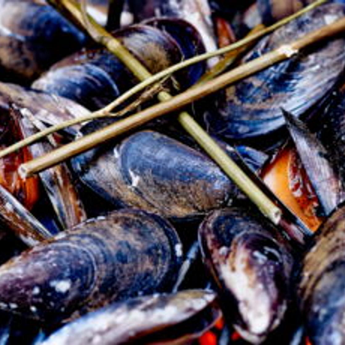 Moules au barbecue