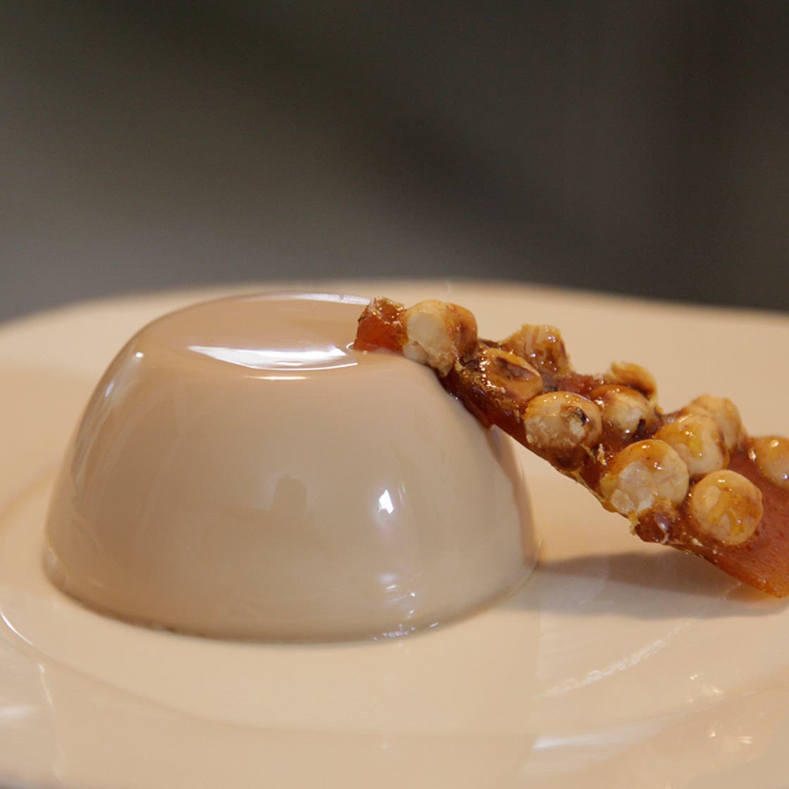 Panna cotta con sabor de café espresso italiano (Espresso panna cotta with cinnamon hazelnut brittle)