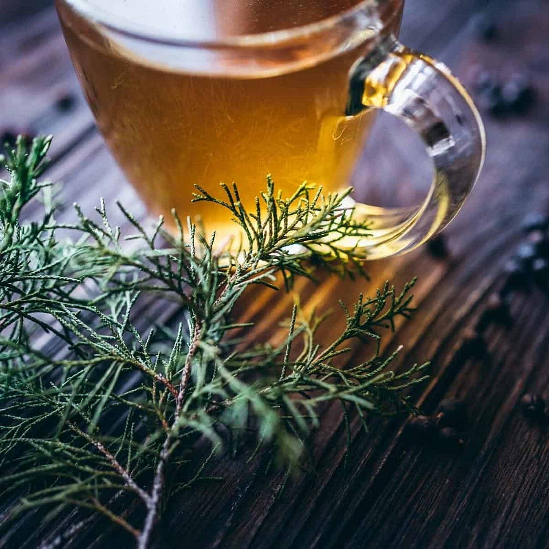 Juniper Berry Tea Recipe