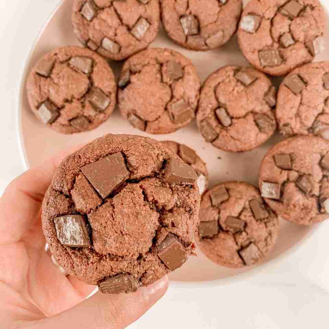 Chocolate Protein Muffins