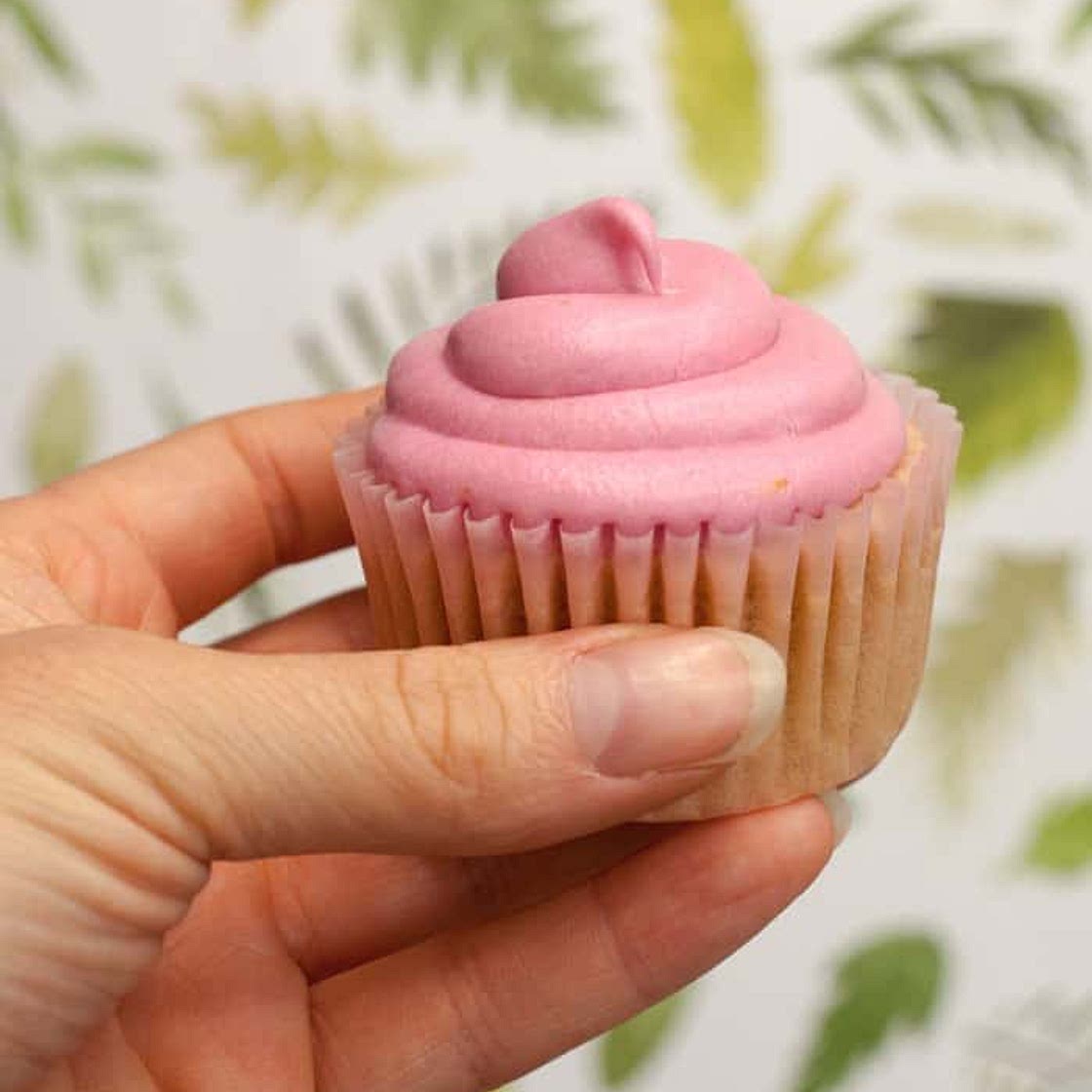 Homemade Beet Food Colouring