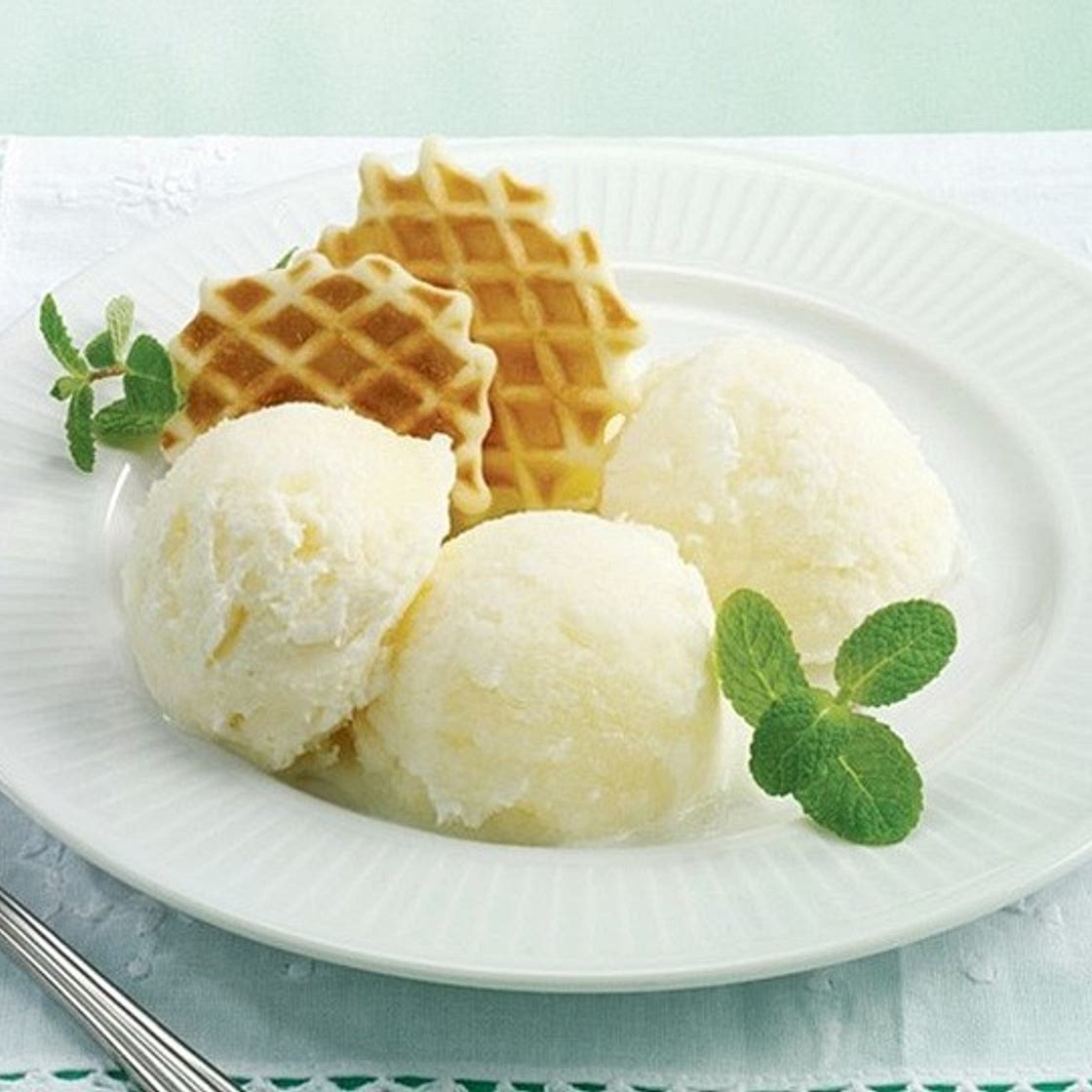 오렌지 소르베 만드는 법