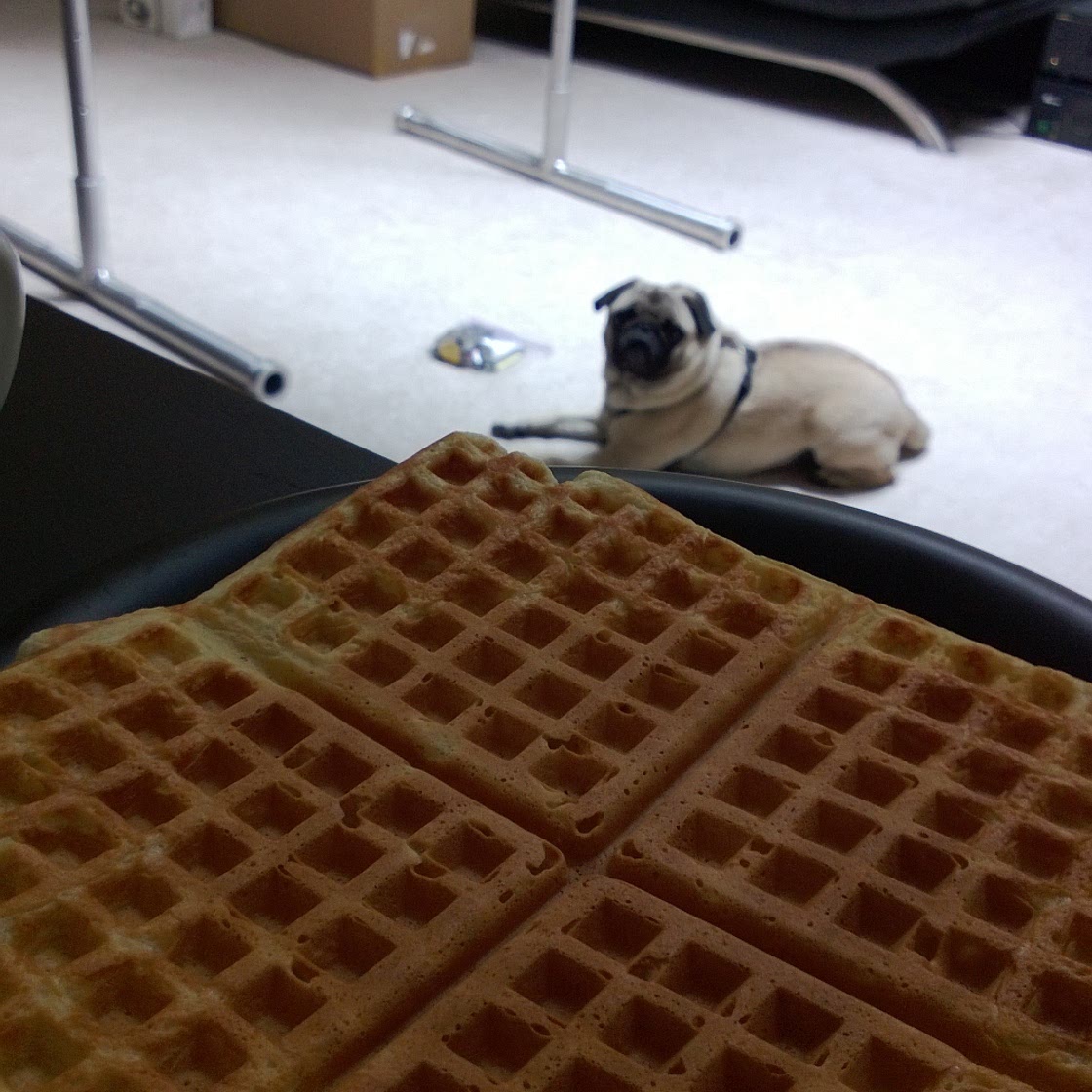Best Waffles Ever