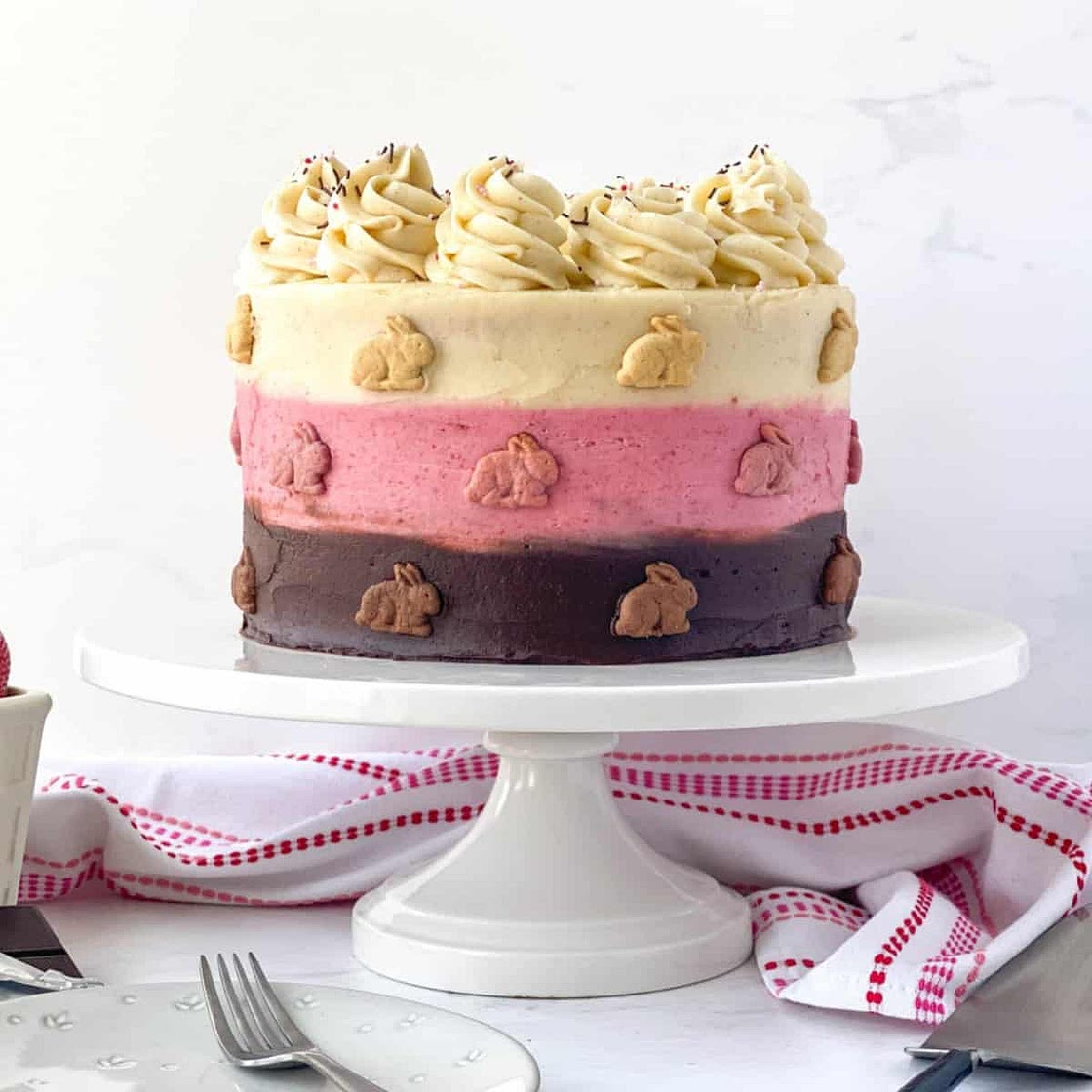 Neapolitan Cake