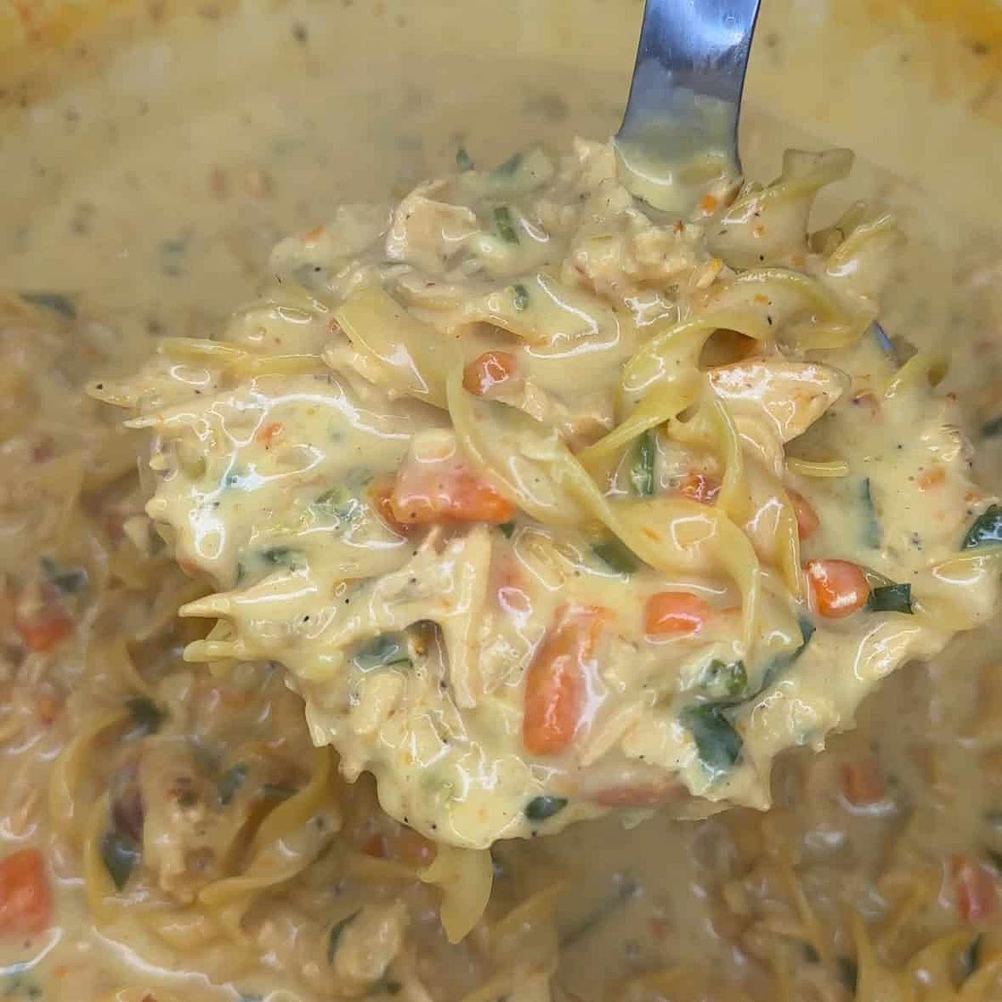 Creamy Chicken Noodle Soup 🍲