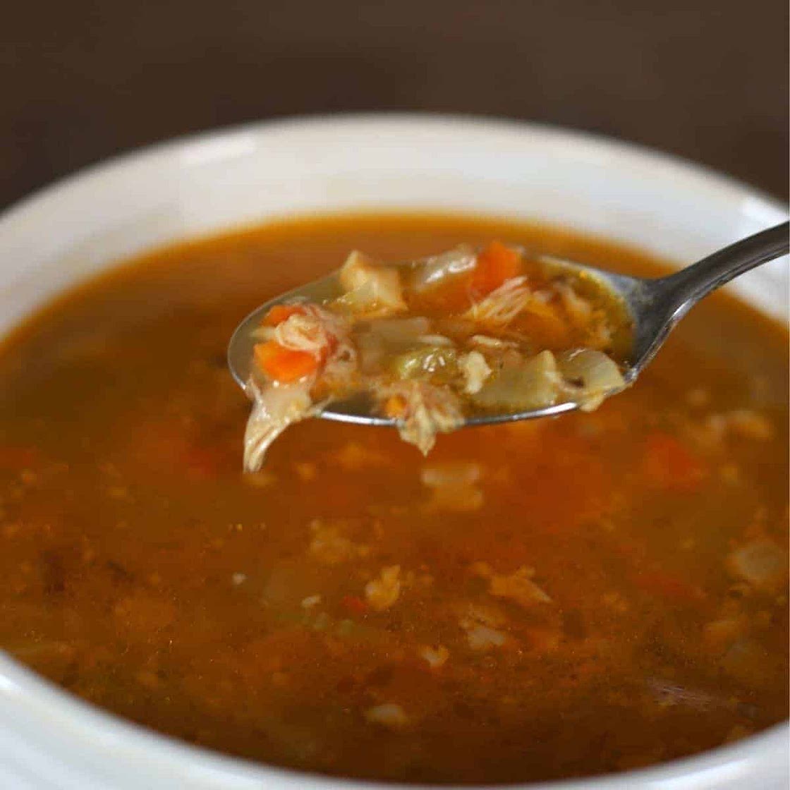 Keto Instant Pot Rotisserie Chicken Soup