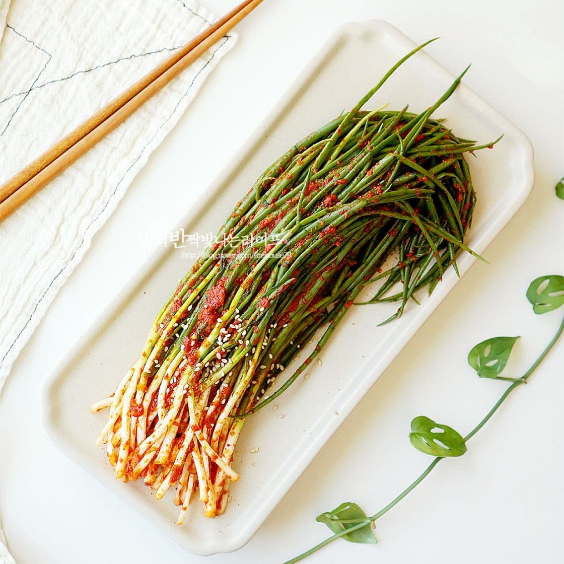 이영자 파김치 레시피 꽃게액젓 파김치 담그는법 쪽파김치 양념