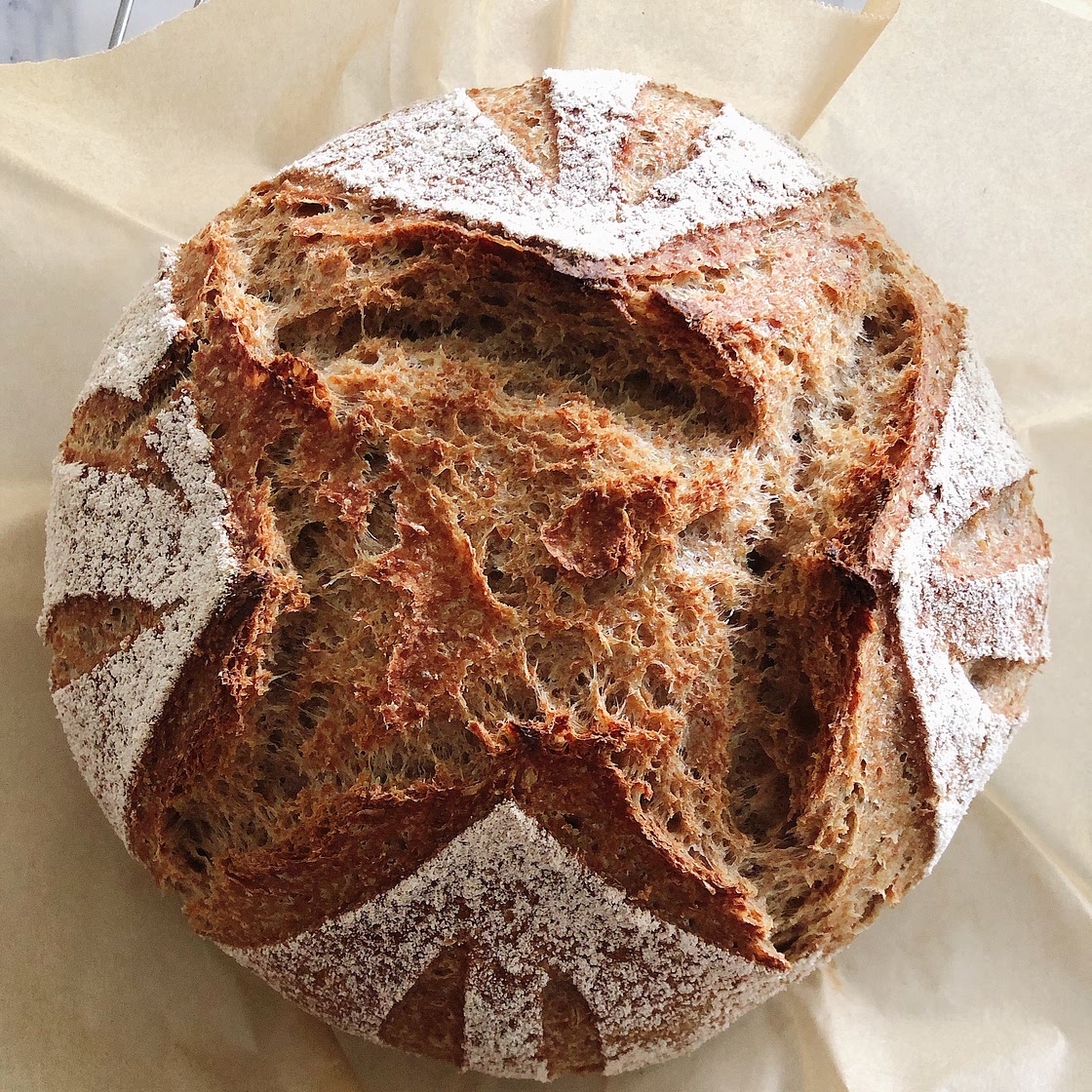 Whole Grain Spelt No Knead Bread