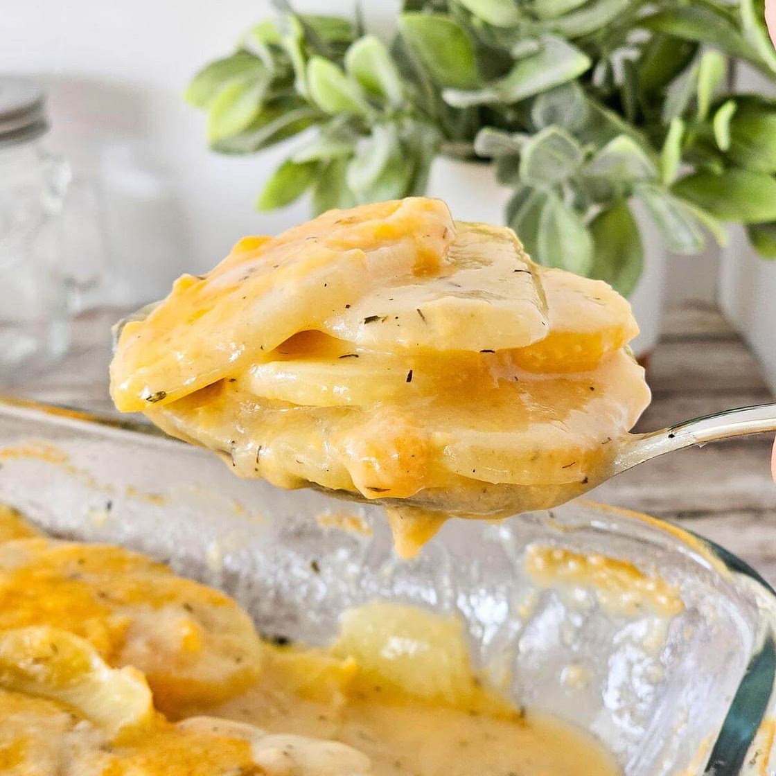 Gluten Free Scalloped Potatoes