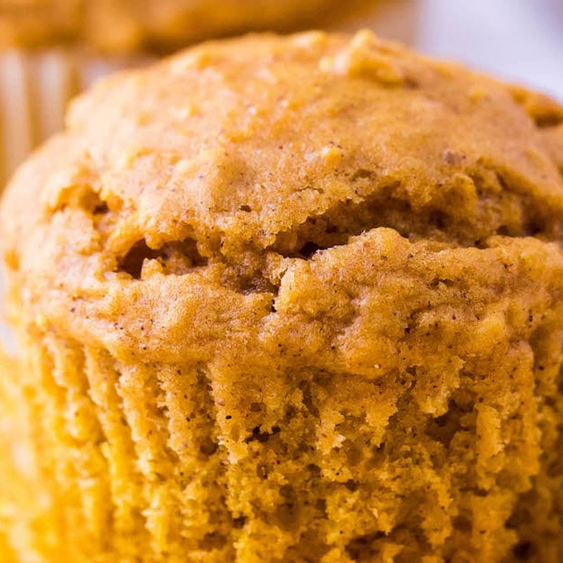 Pumpkin Oatmeal Muffins