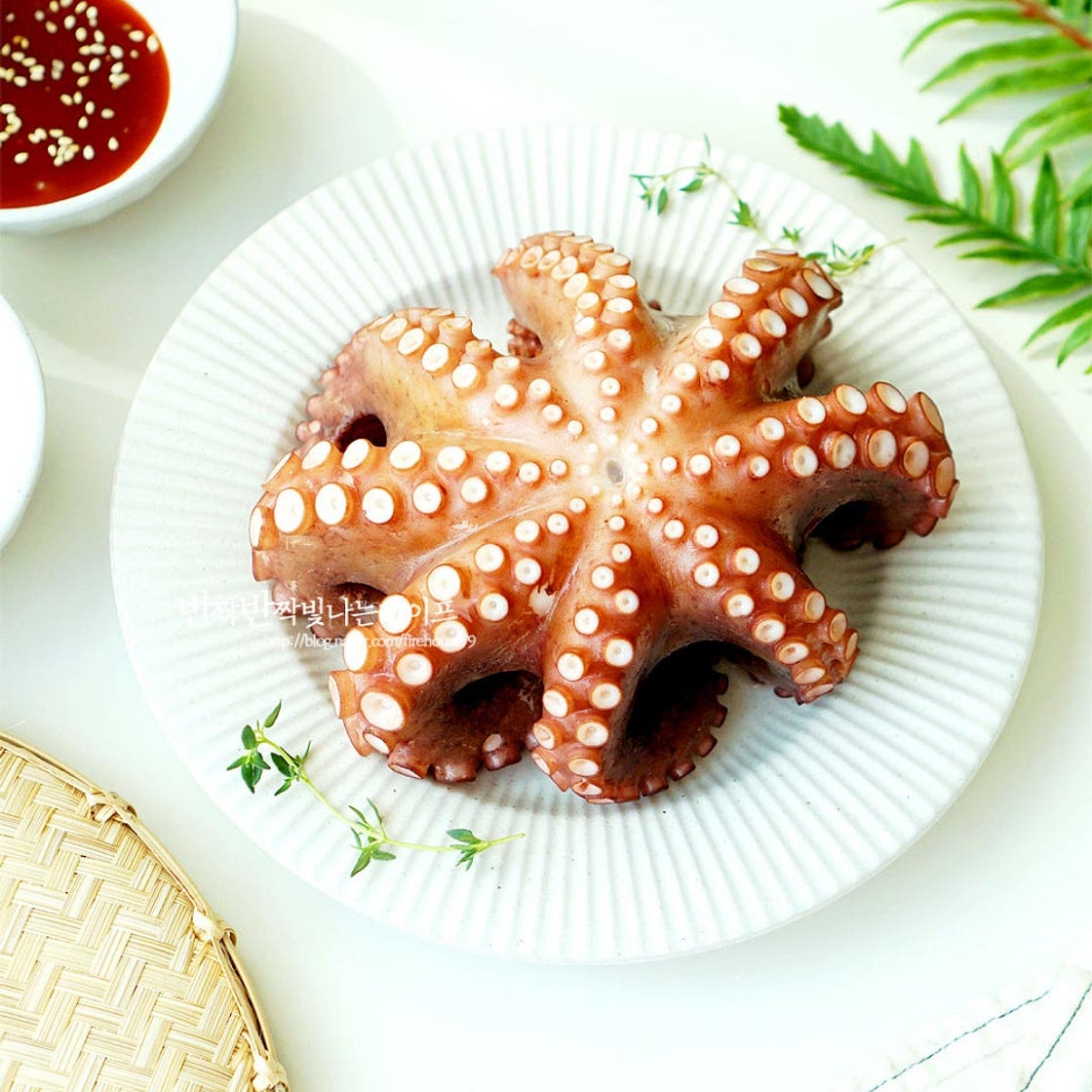 문어 삶는법 삶는시간 문어 손질법 문어숙회 요리