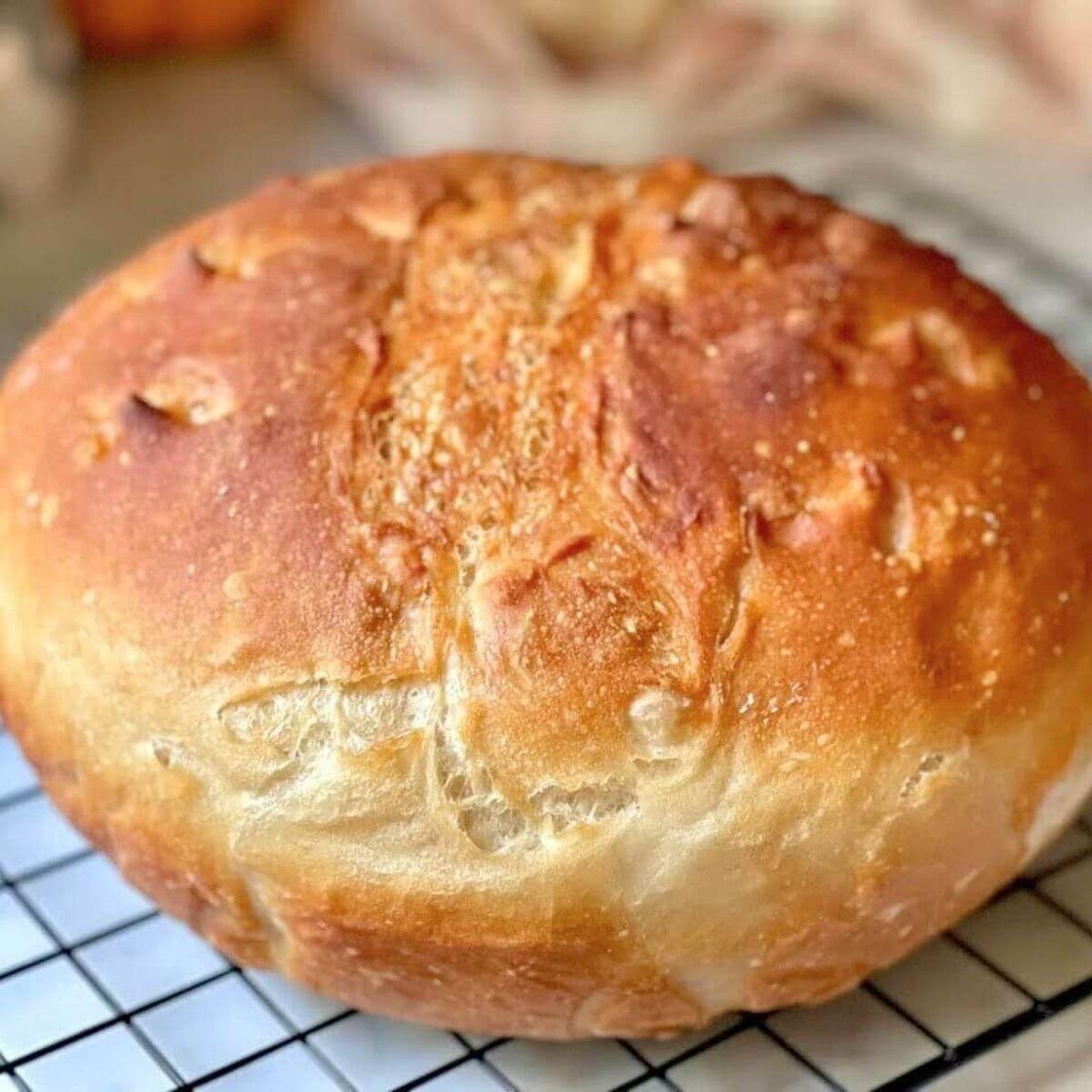3-Ingredient Easy No-Knead Bread