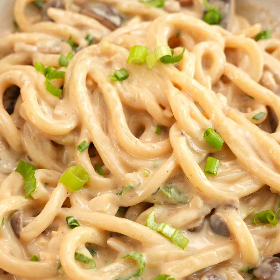 Creamy Mushroom Udon