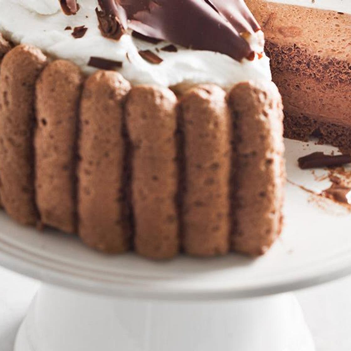 All Chocolate Charlotte