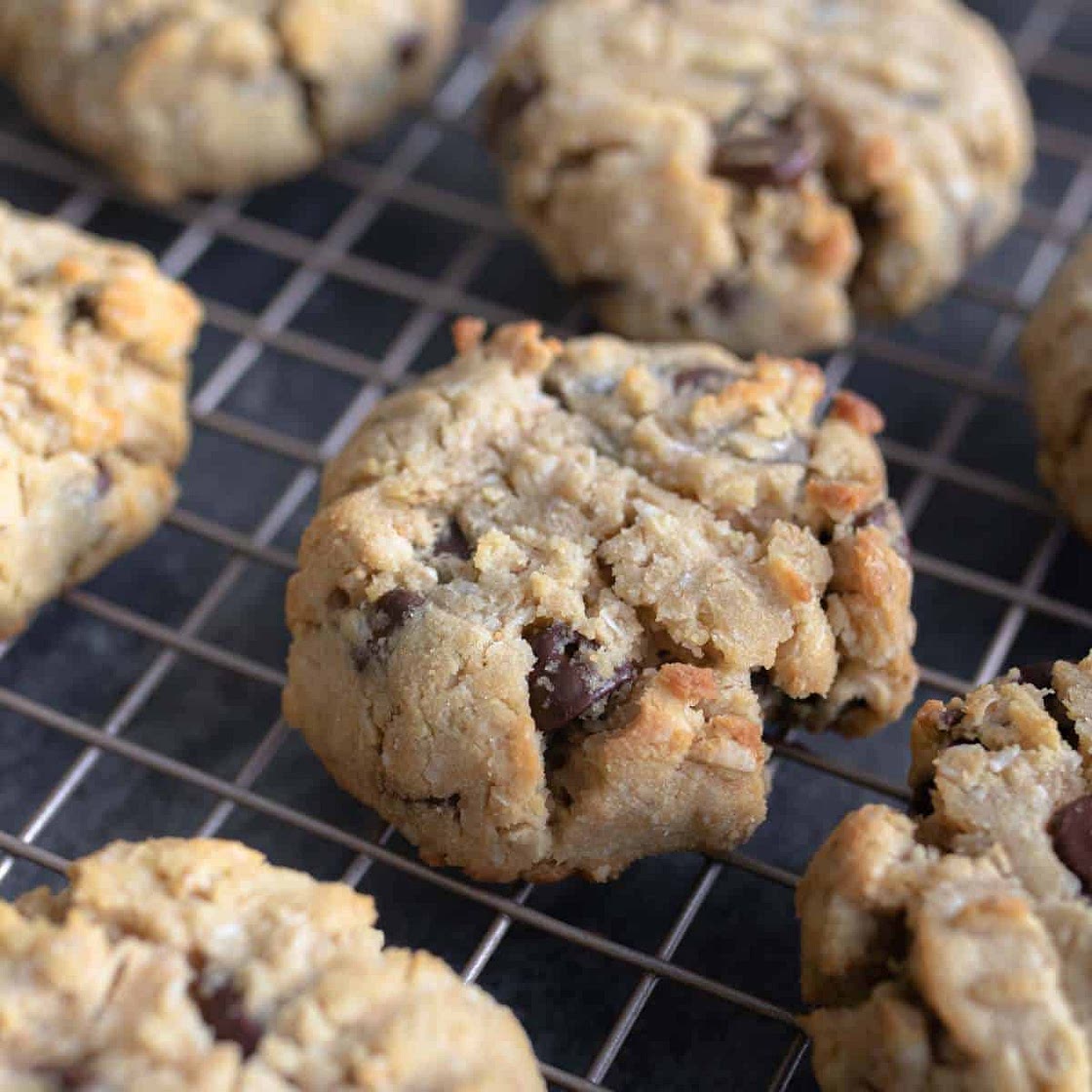 Coconut Flour Oatmeal Cookies