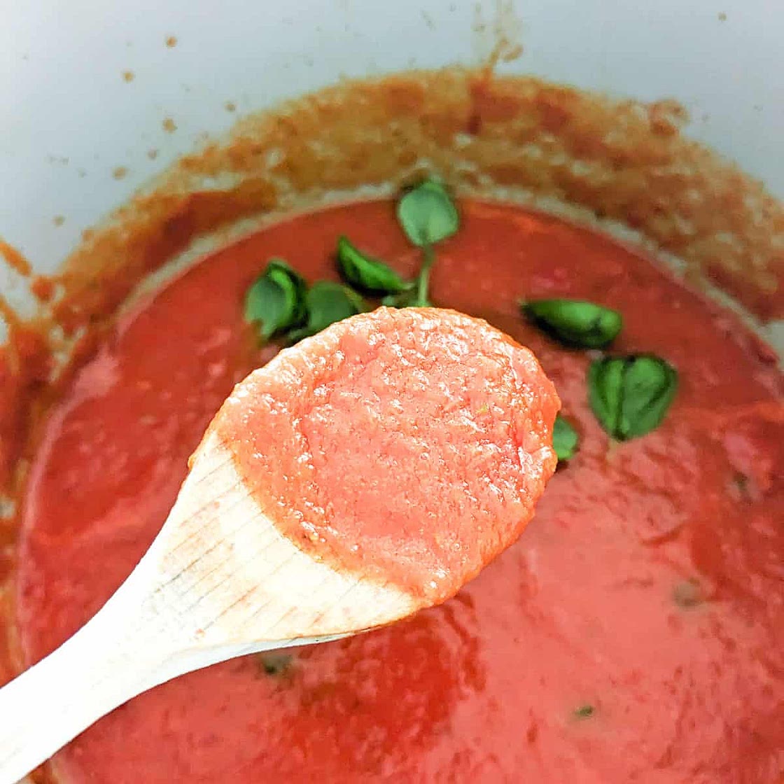 Ninja Foodi Tomato Sauce