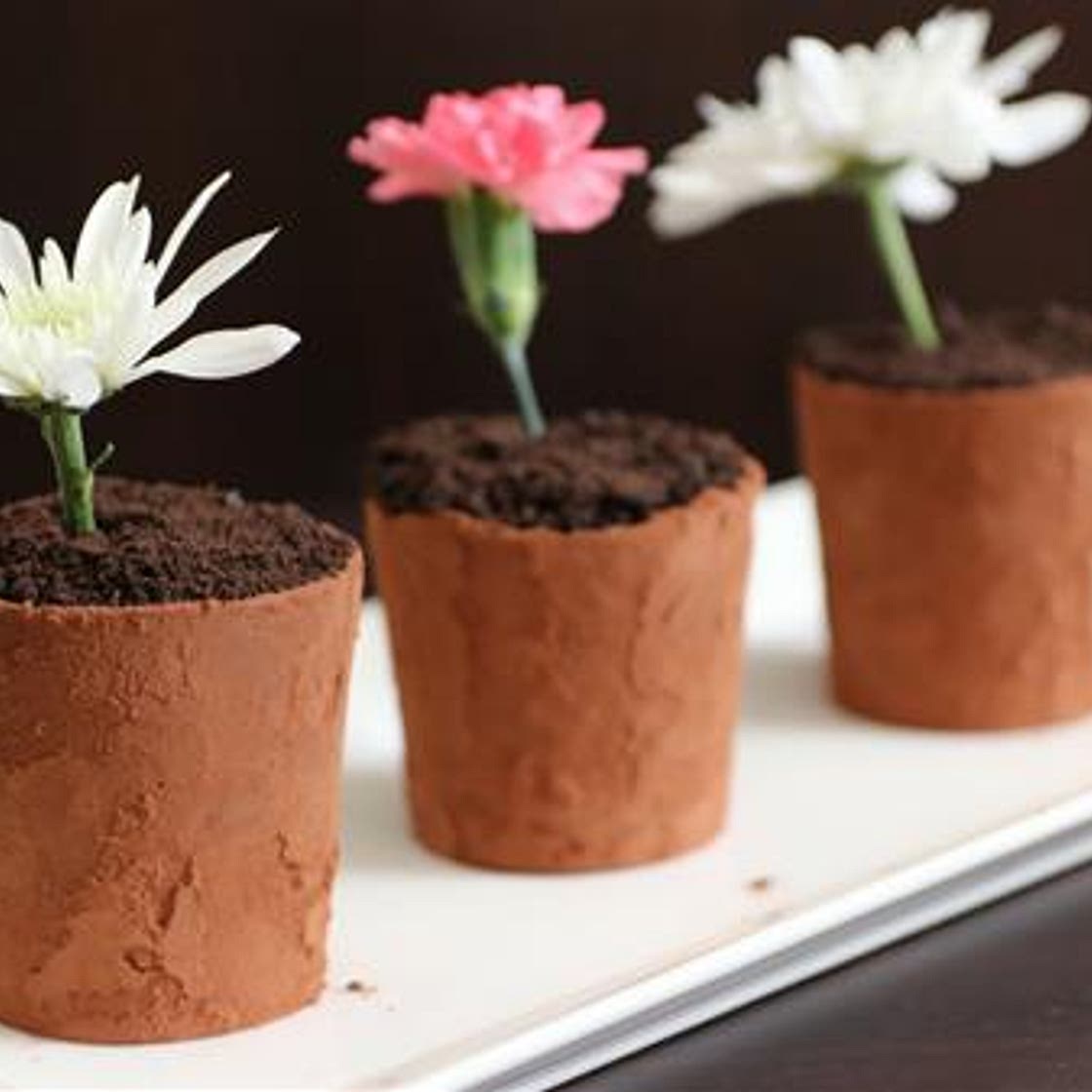 Flower Pot Dessert Recipe