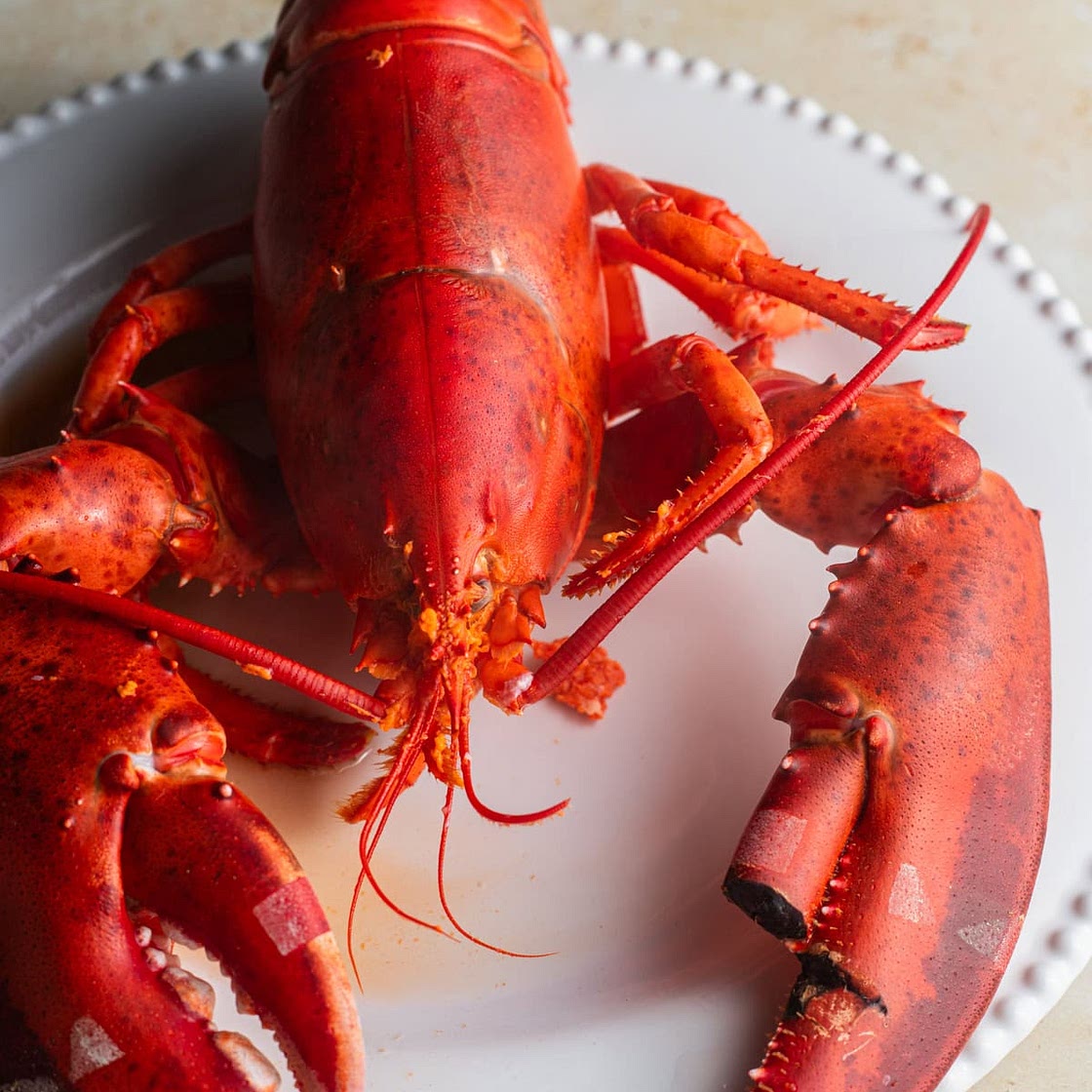 How To Boil Lobster