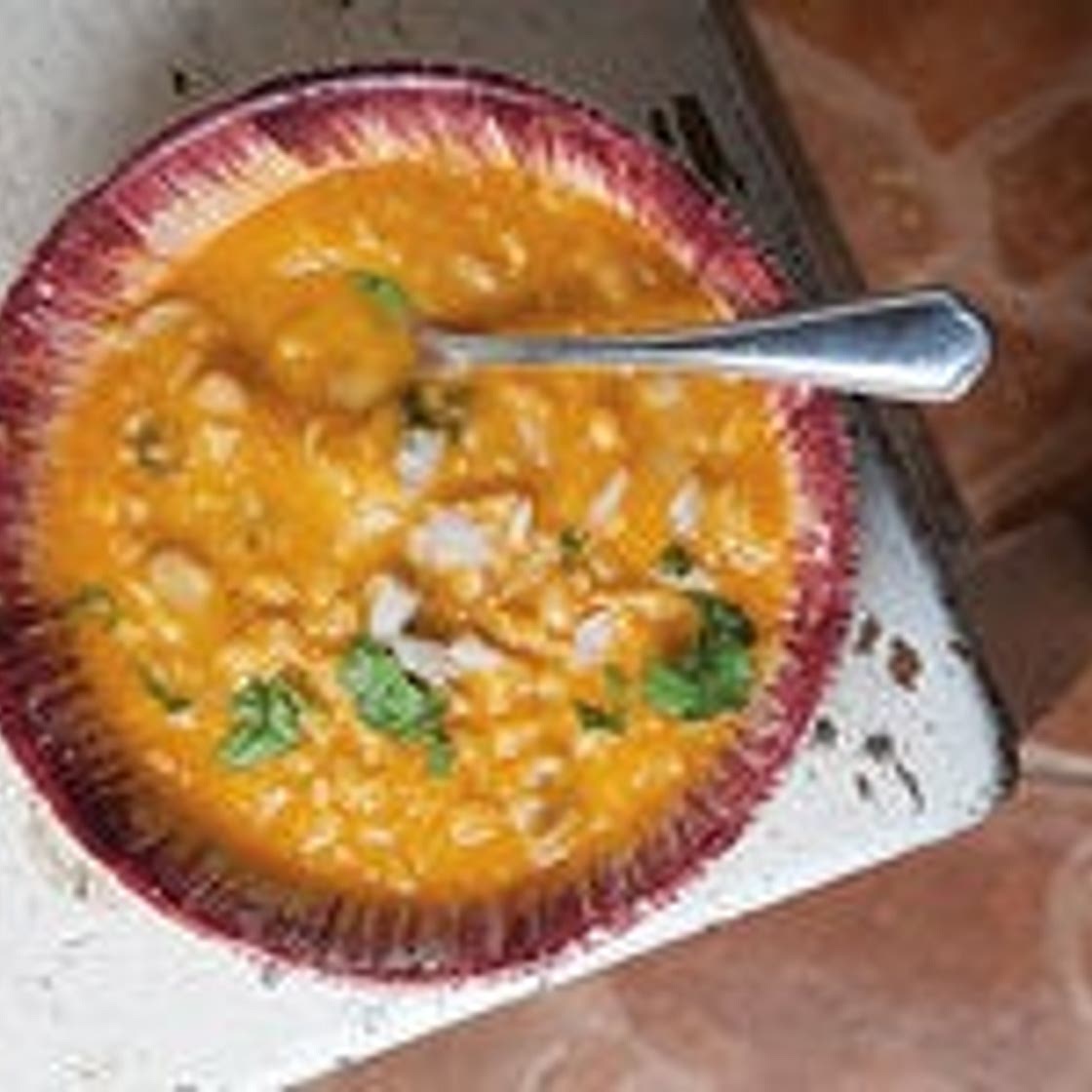 Mexican Fava Bean Soup (Sopa de Habas)