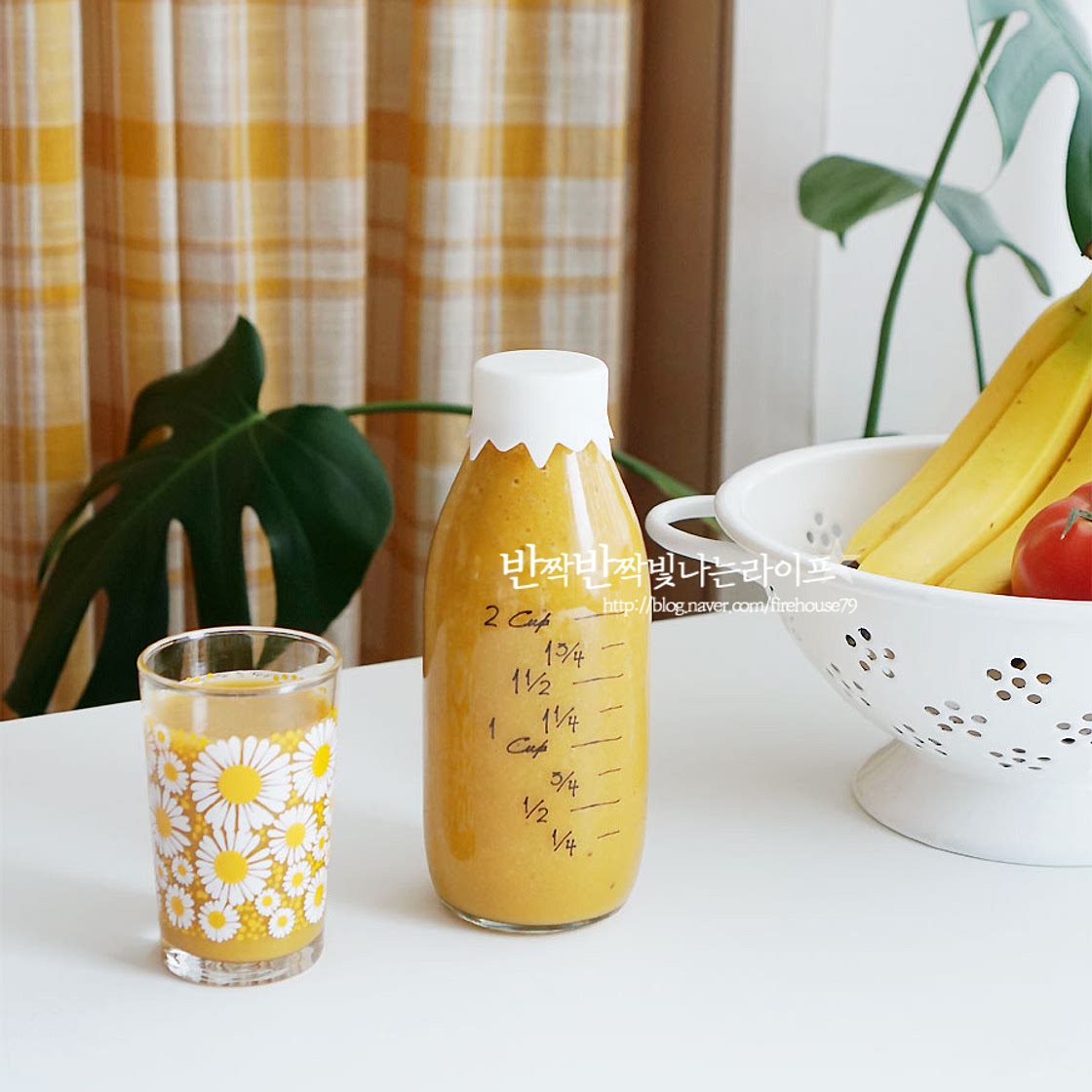 해독주스 만들기 재료비율 만드는법 알고 마셔요