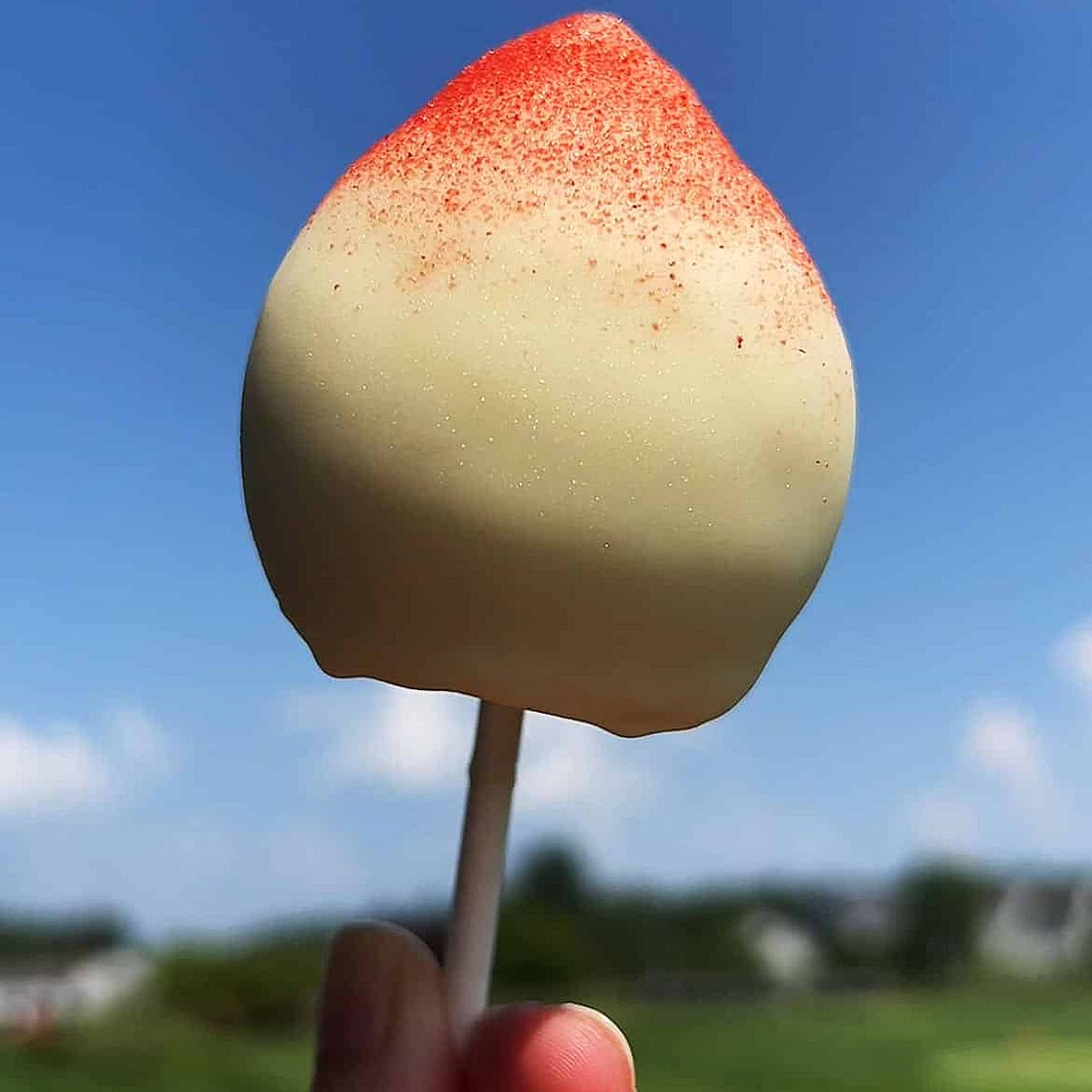 Peach Ice Cream (Viral Asian Peach Ice Cream)