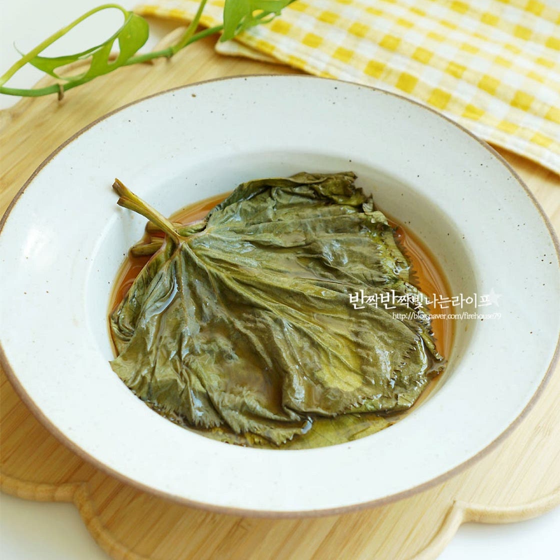 곰취장아찌 만드는법 입맛 살리는 봄나물장아찌