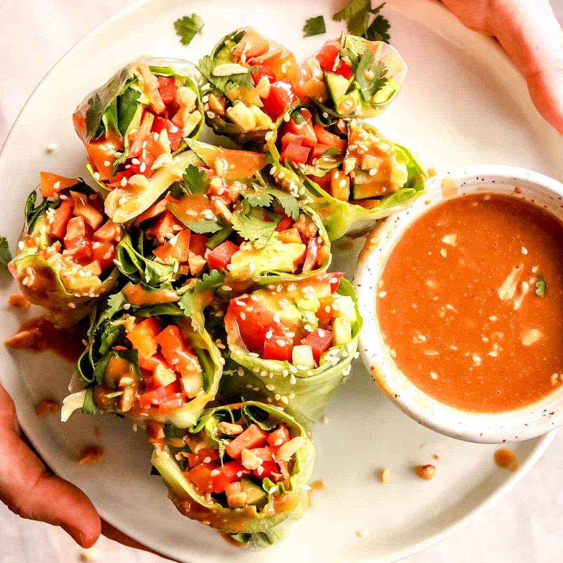 Homemade Fresh Spring Rolls + Peanut Sauce