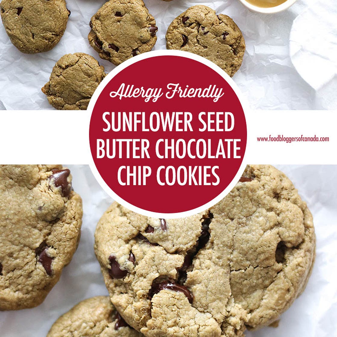 Sunflower Seed Butter Chocolate Chip Cookies