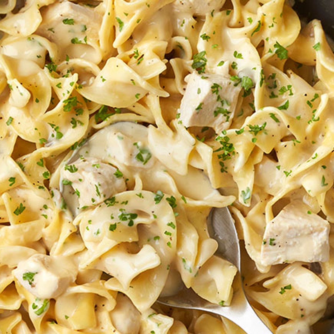 Quick Creamy Chicken & Noodles