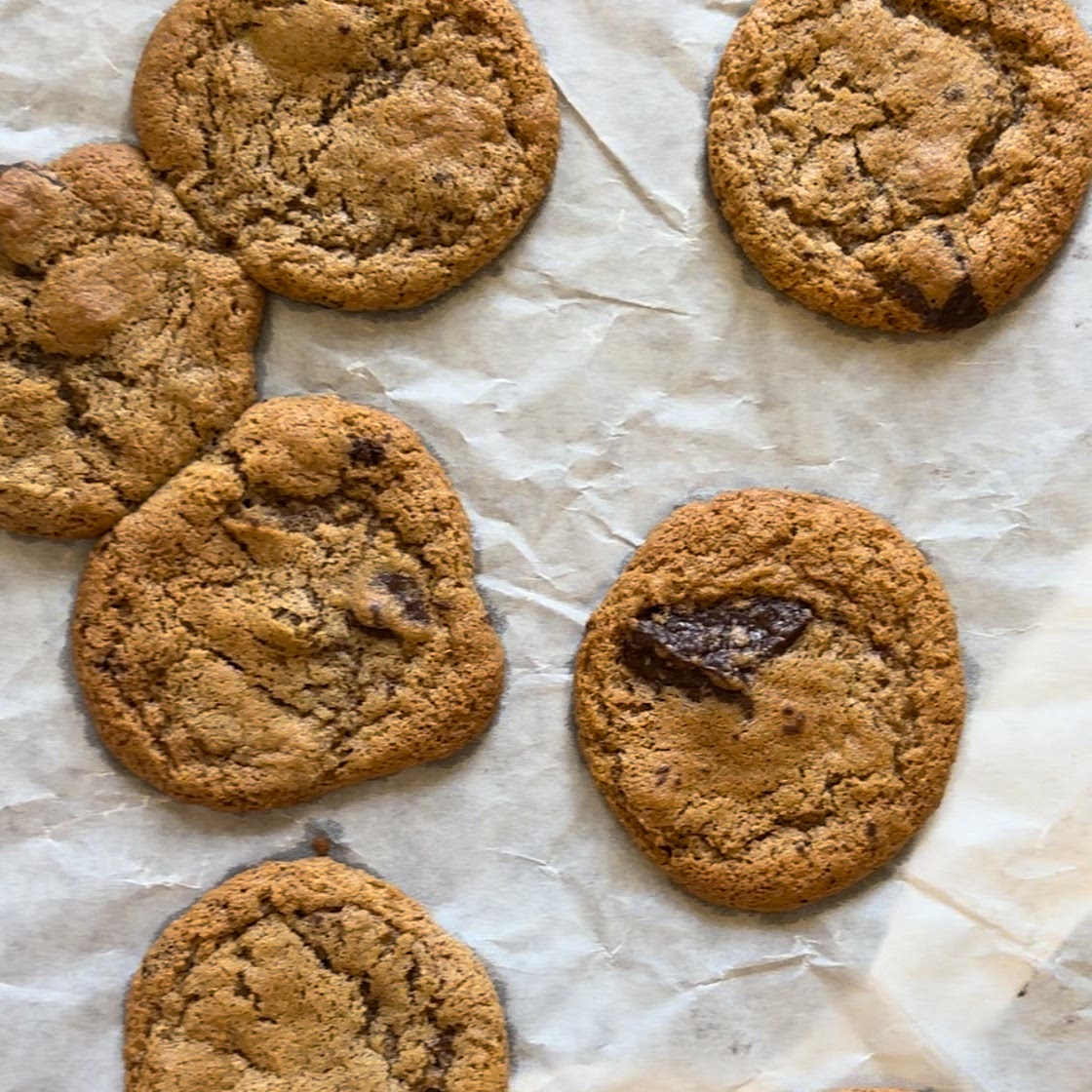 Gingerbread dark chocolate cookies