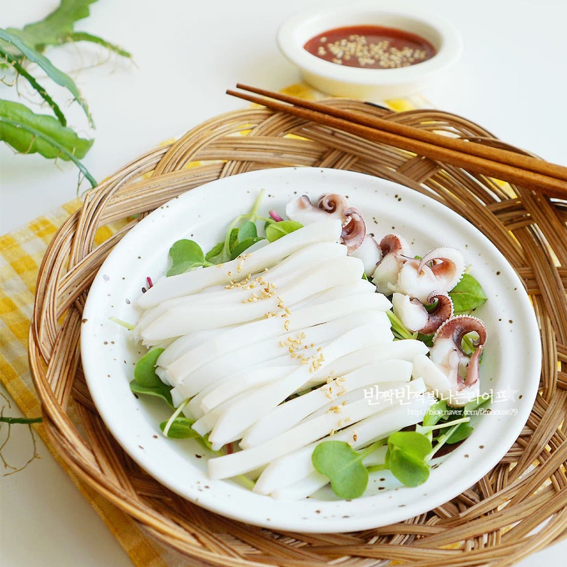 갑오징어 손질 데치기 갑오징어 숙회 요리 즐겨요~