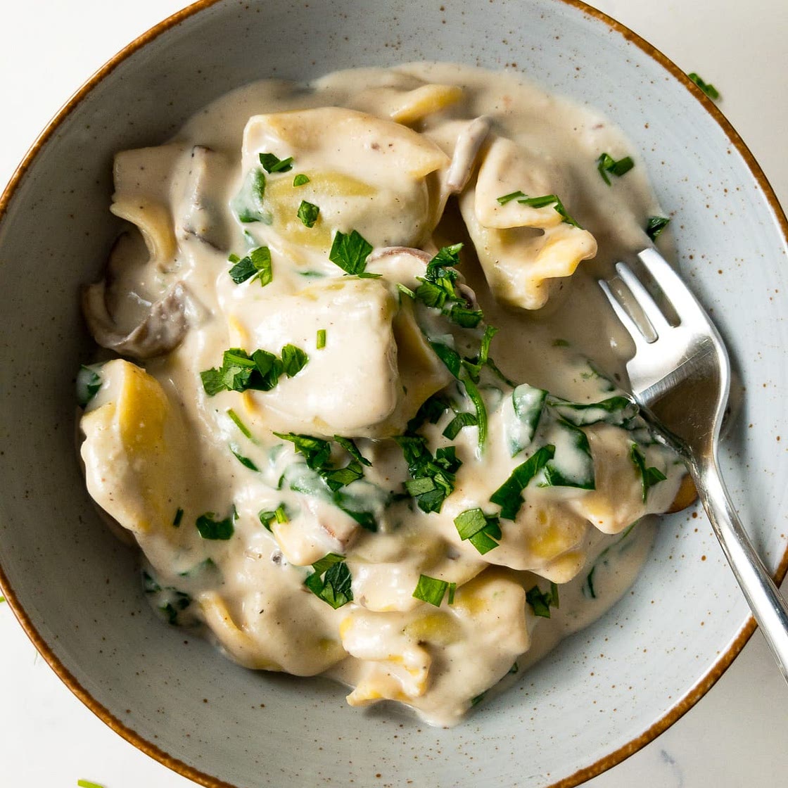 Tortellini Alfredo