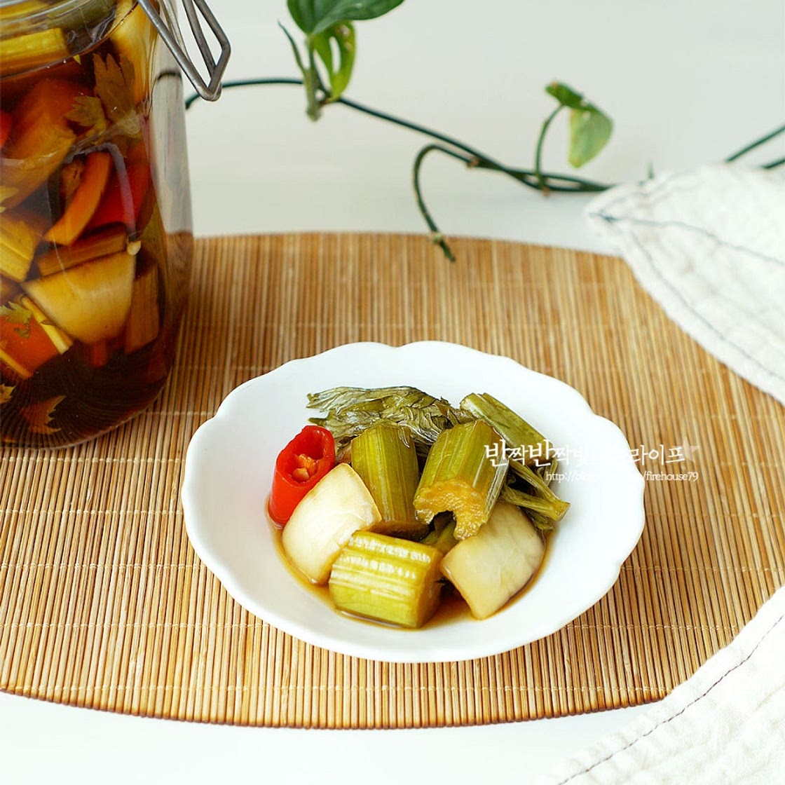 샐러리 먹는법 손질 샐러리 장아찌 샐러리잎 샐러리요리