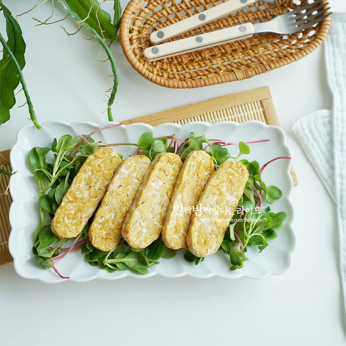 템페 샐러드 건강 채식 식단 비건 요리 만들기