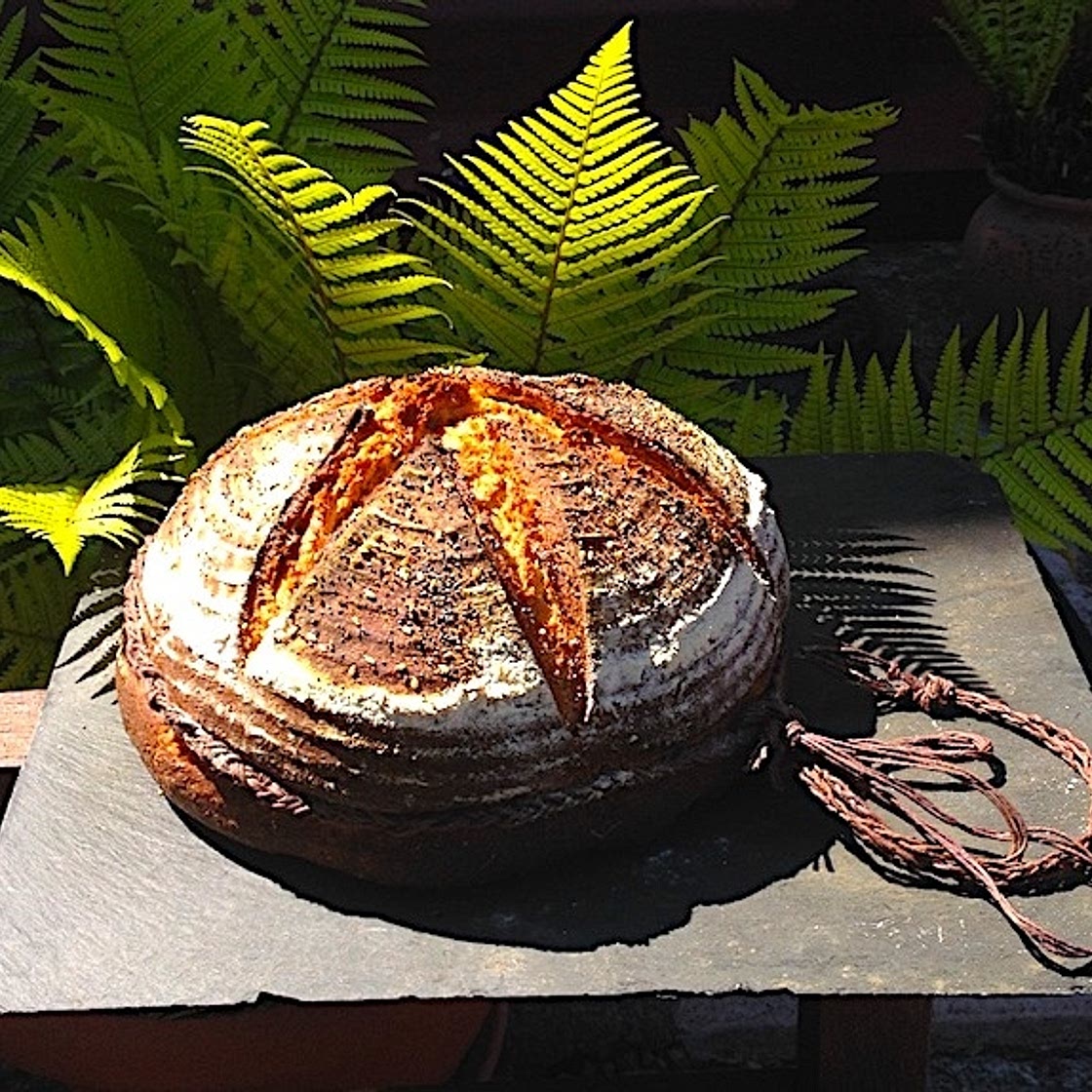 2,000 Year Old Bread Recipe From Pompeii