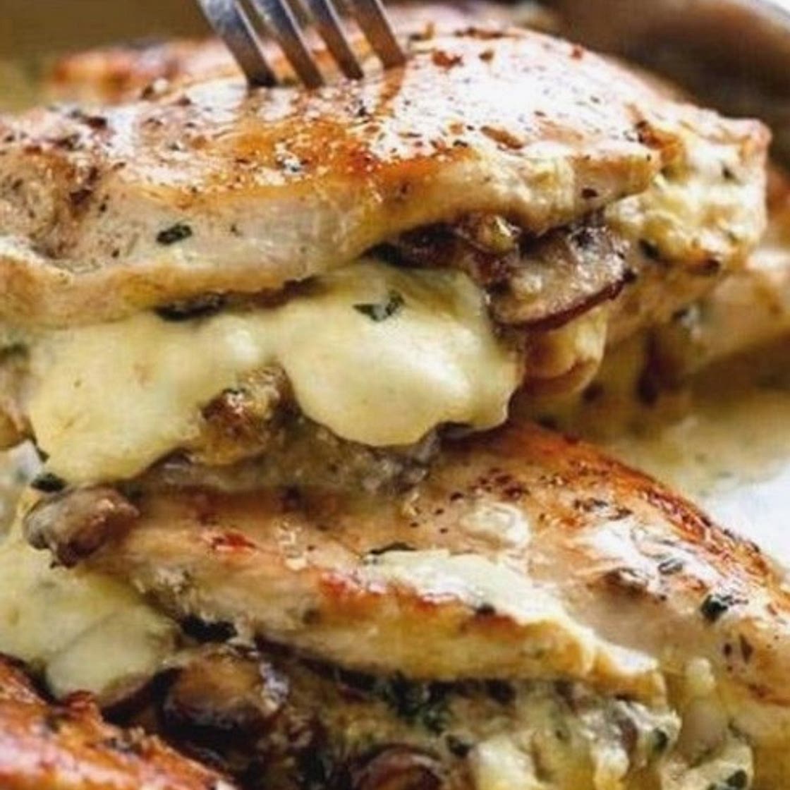 Vegan Enchiladas Lentils