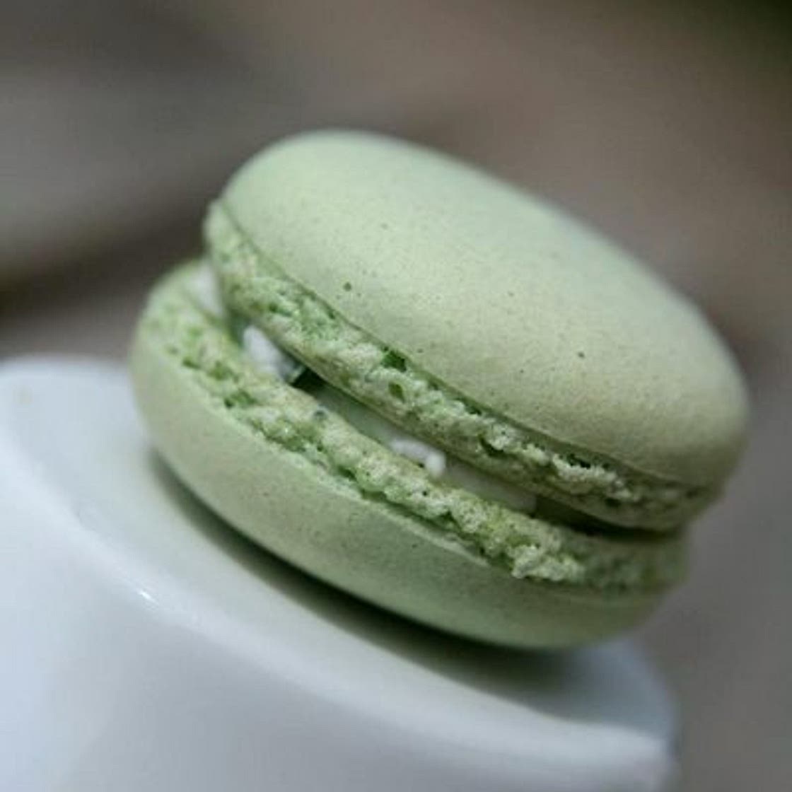 Macarons version salée : les macarons chèvre-ciboulette