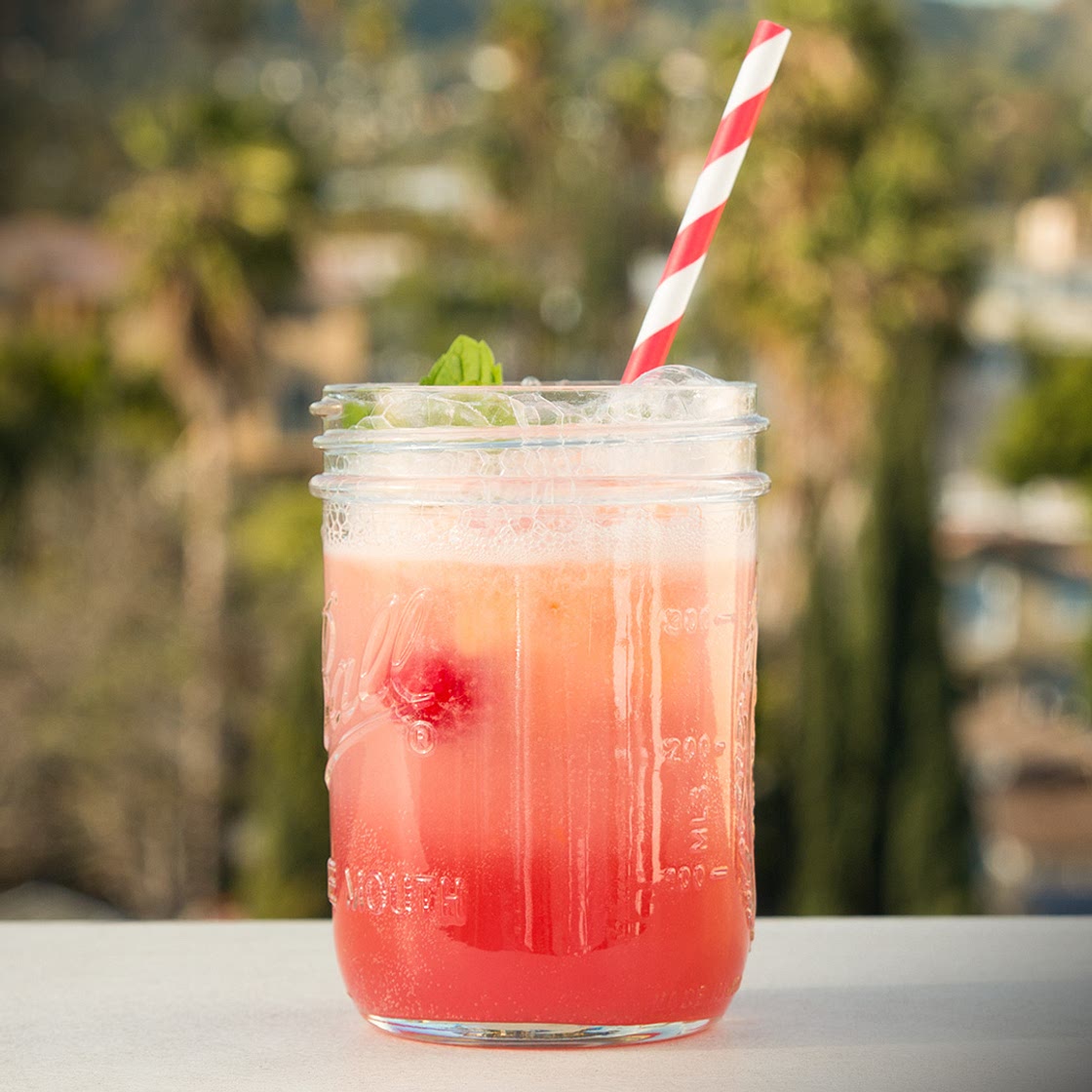 Boozy Bubbly Sherbet Punch Recipe by Tasty