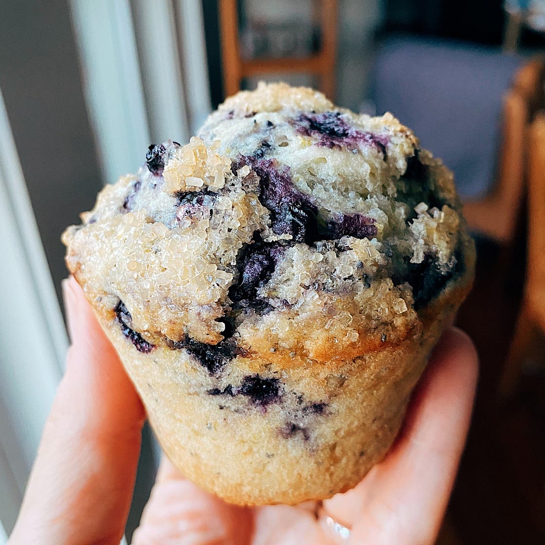 Single-serving Blueberry Muffin