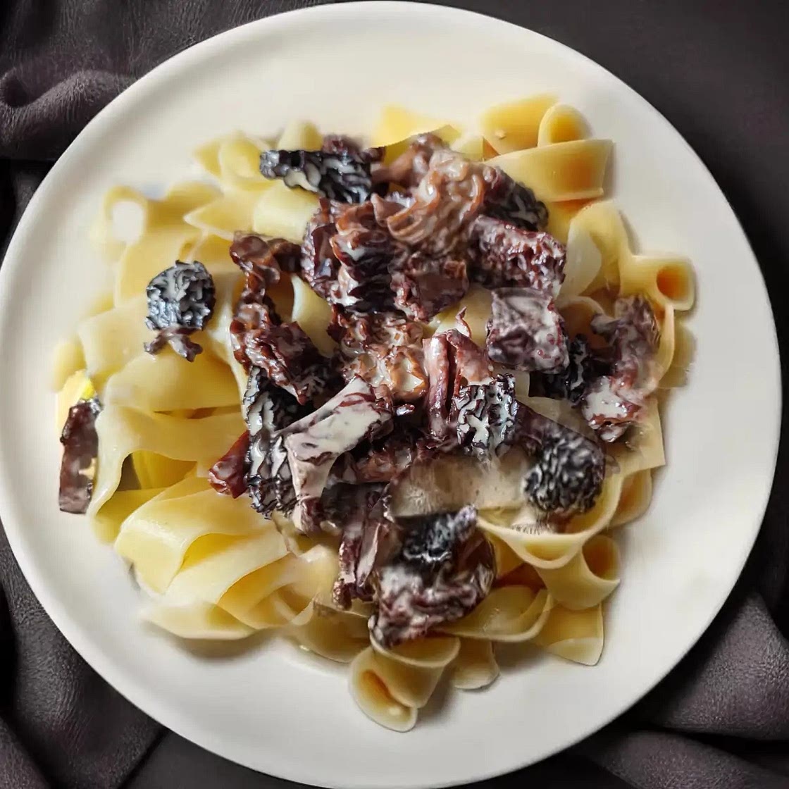 Morel Mushroom Creamy Pasta