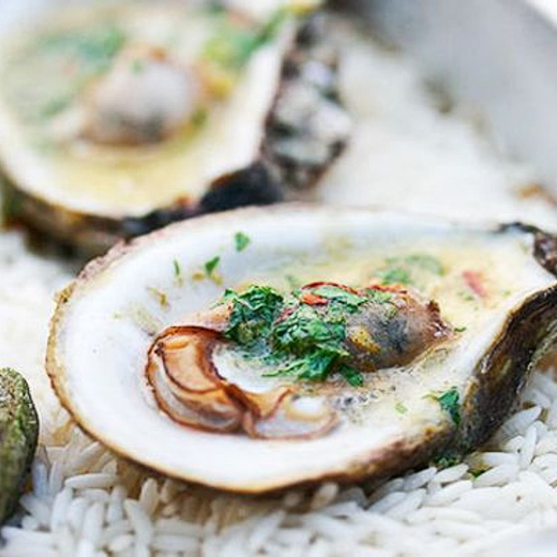 Grilled Oysters