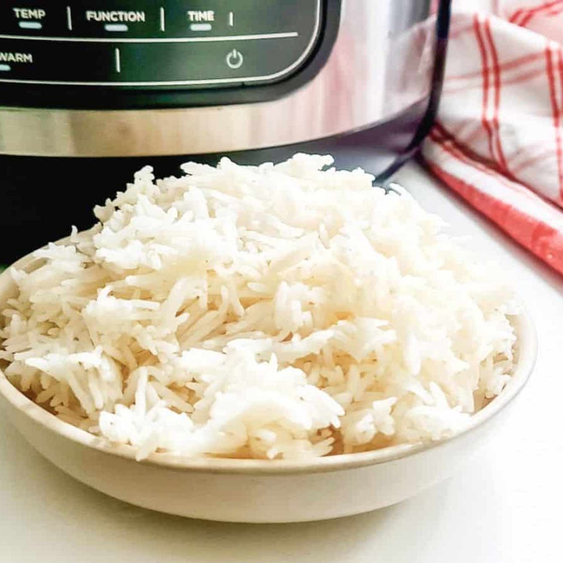 Ninja Foodi Air Fryer Rice