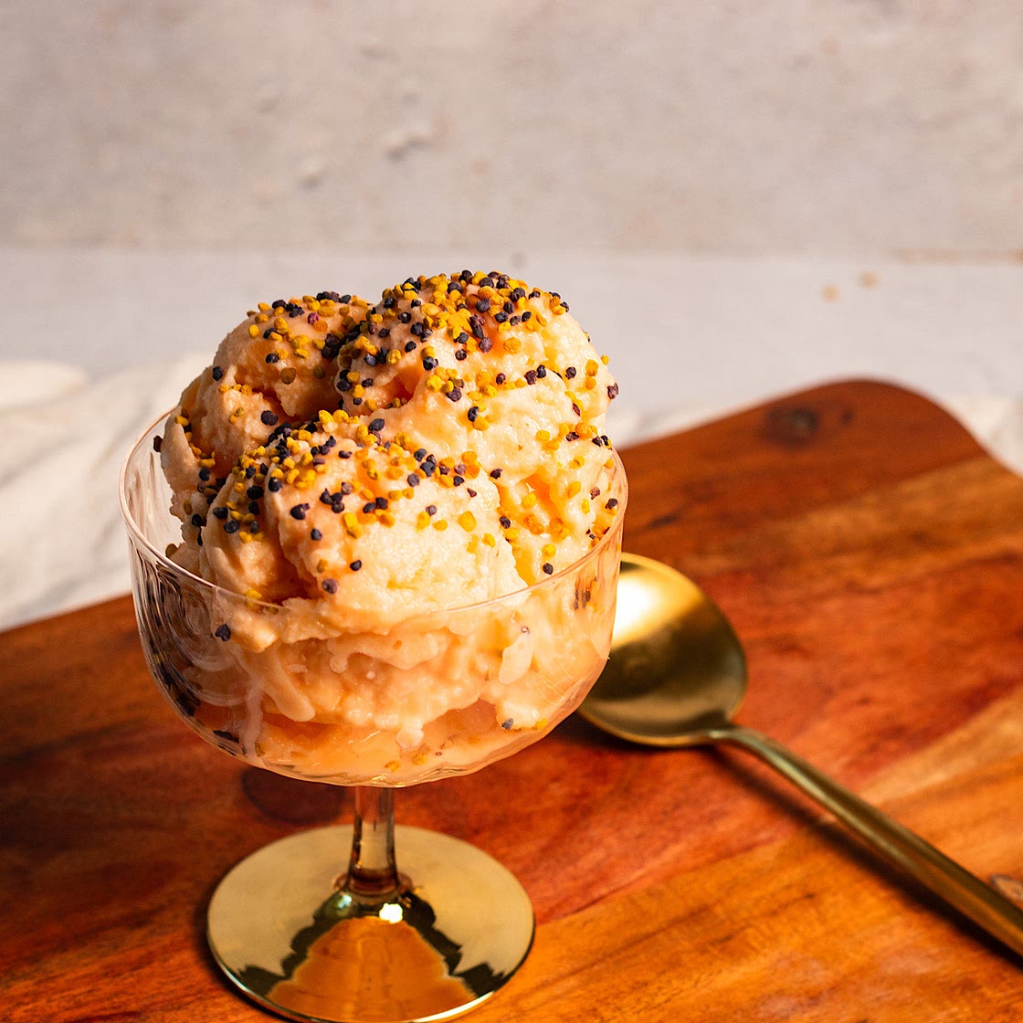 Blender Cantaloupe Frozen Yogurt