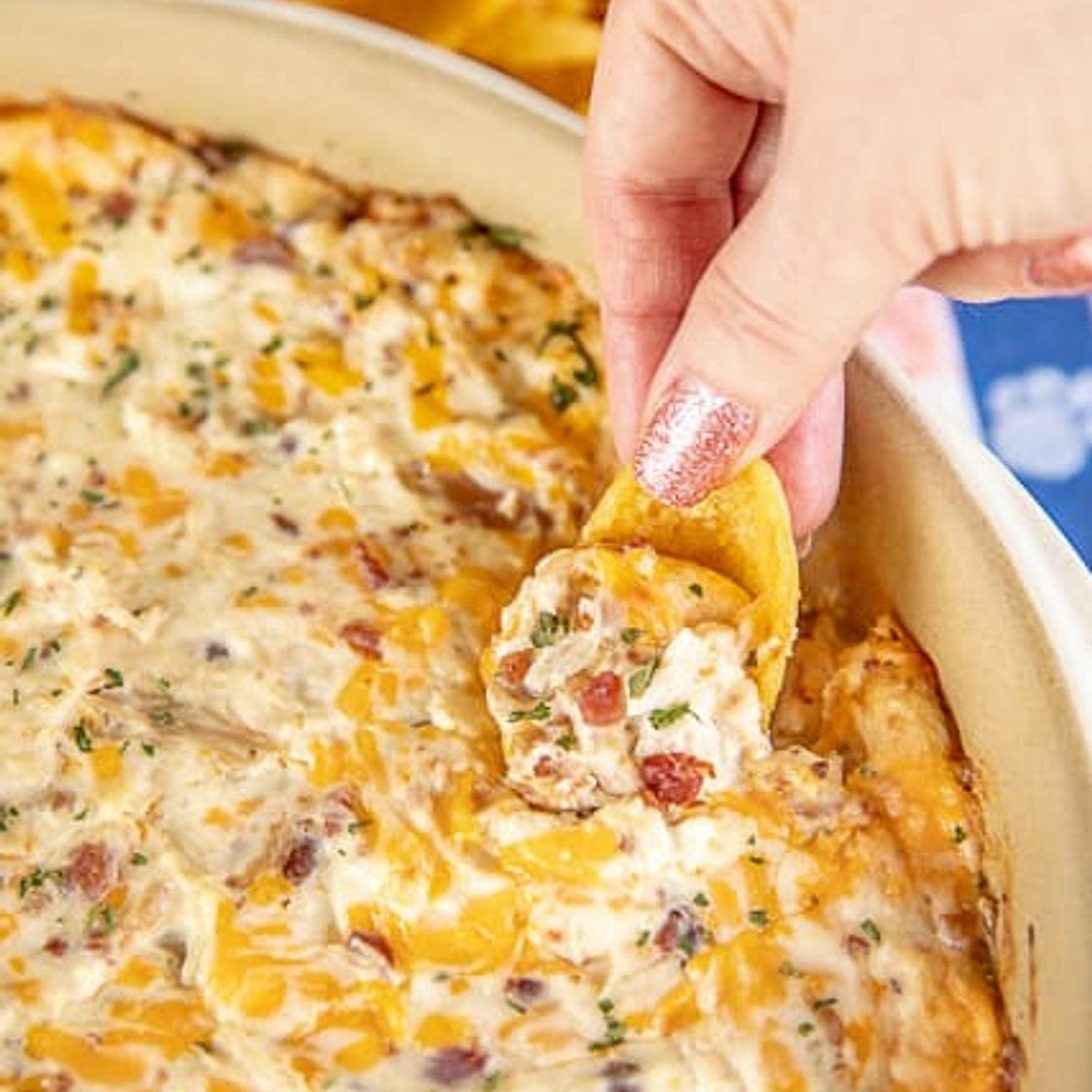Warm Crack Chicken Dip